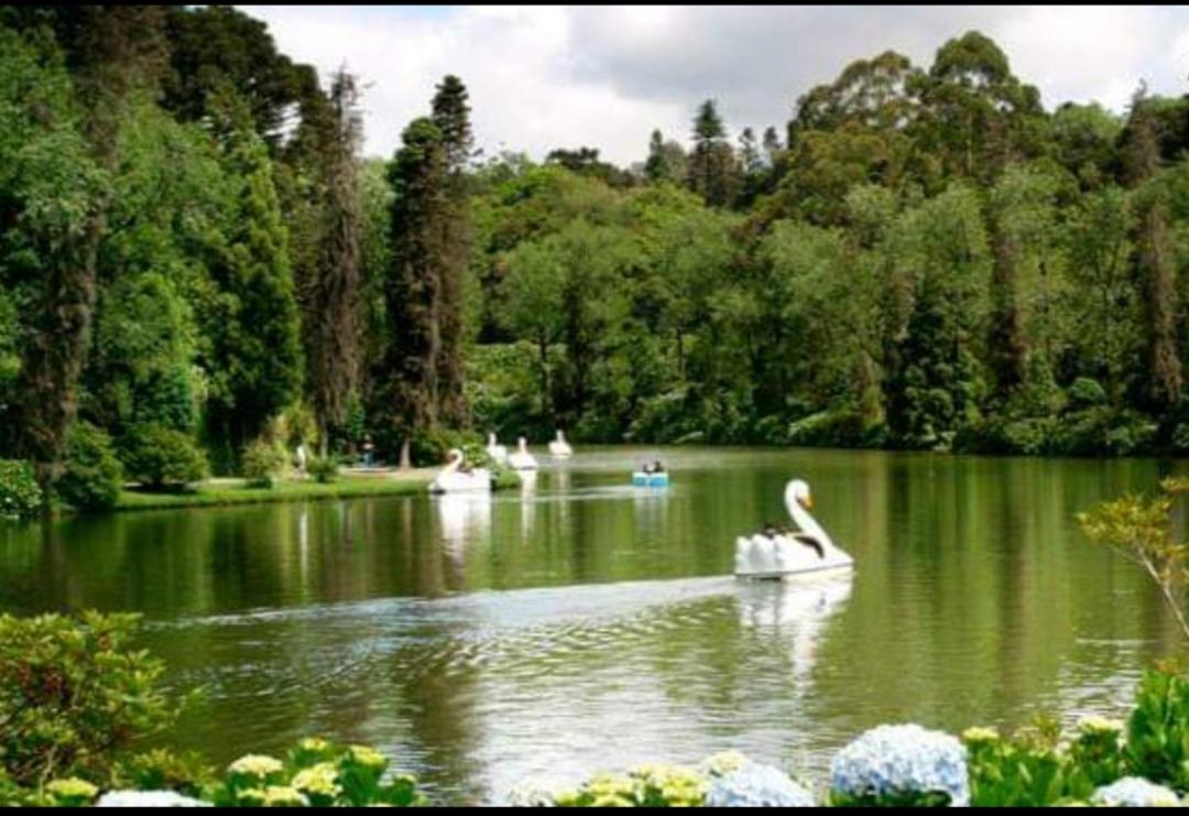 Casa Nobre Gramado