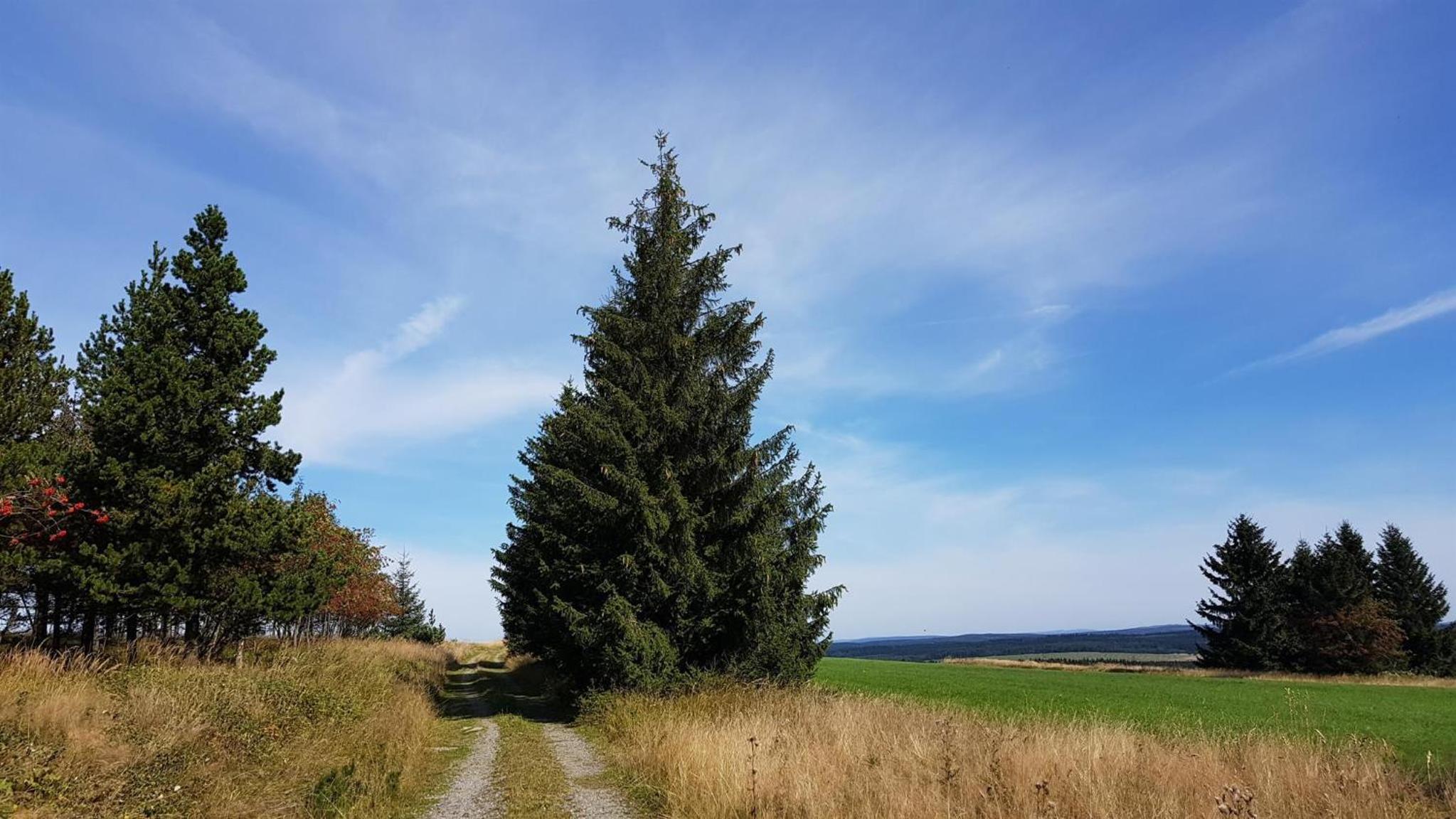 Pension & Gasthof Erbgericht Höhenlage 850m