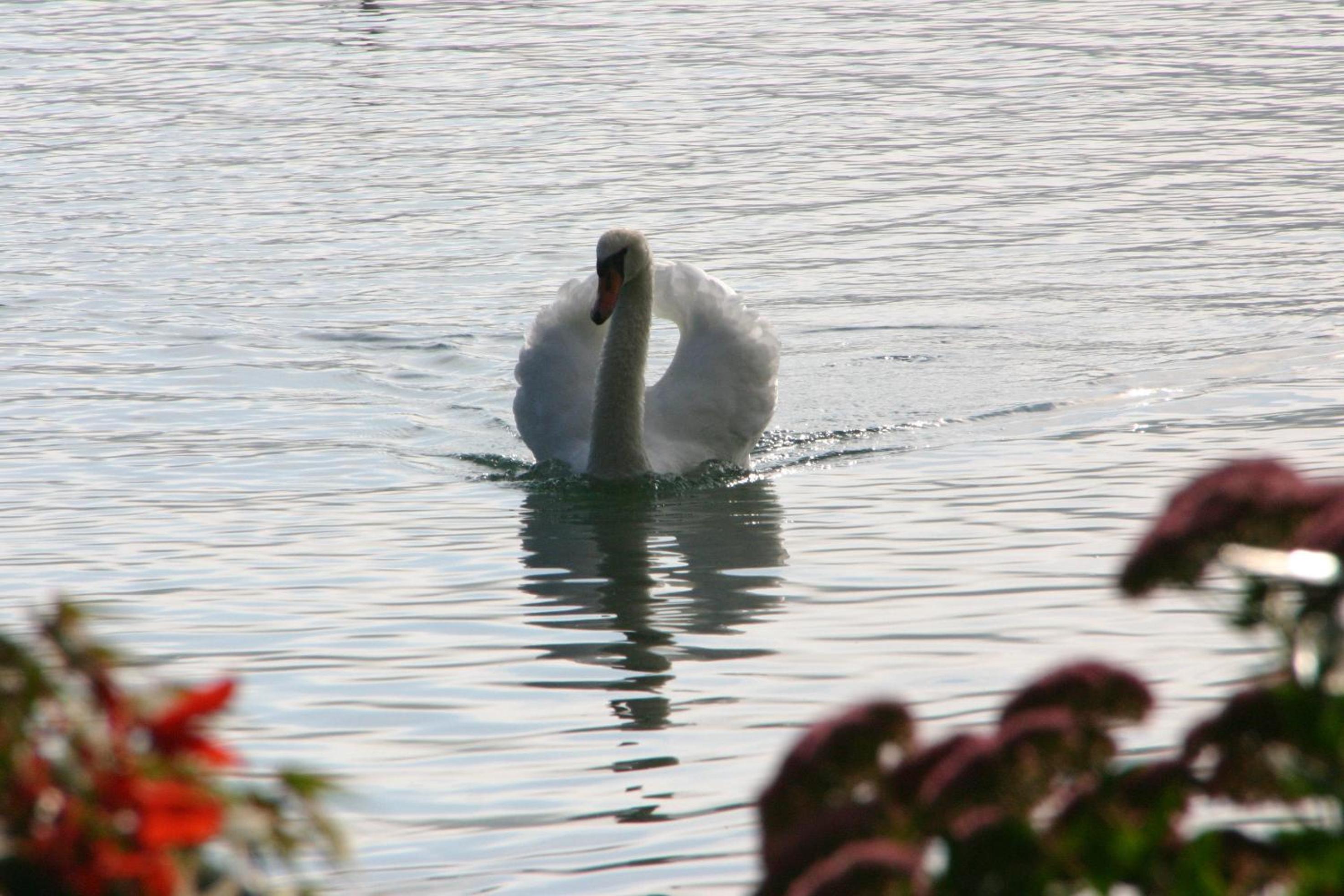 Haus am See