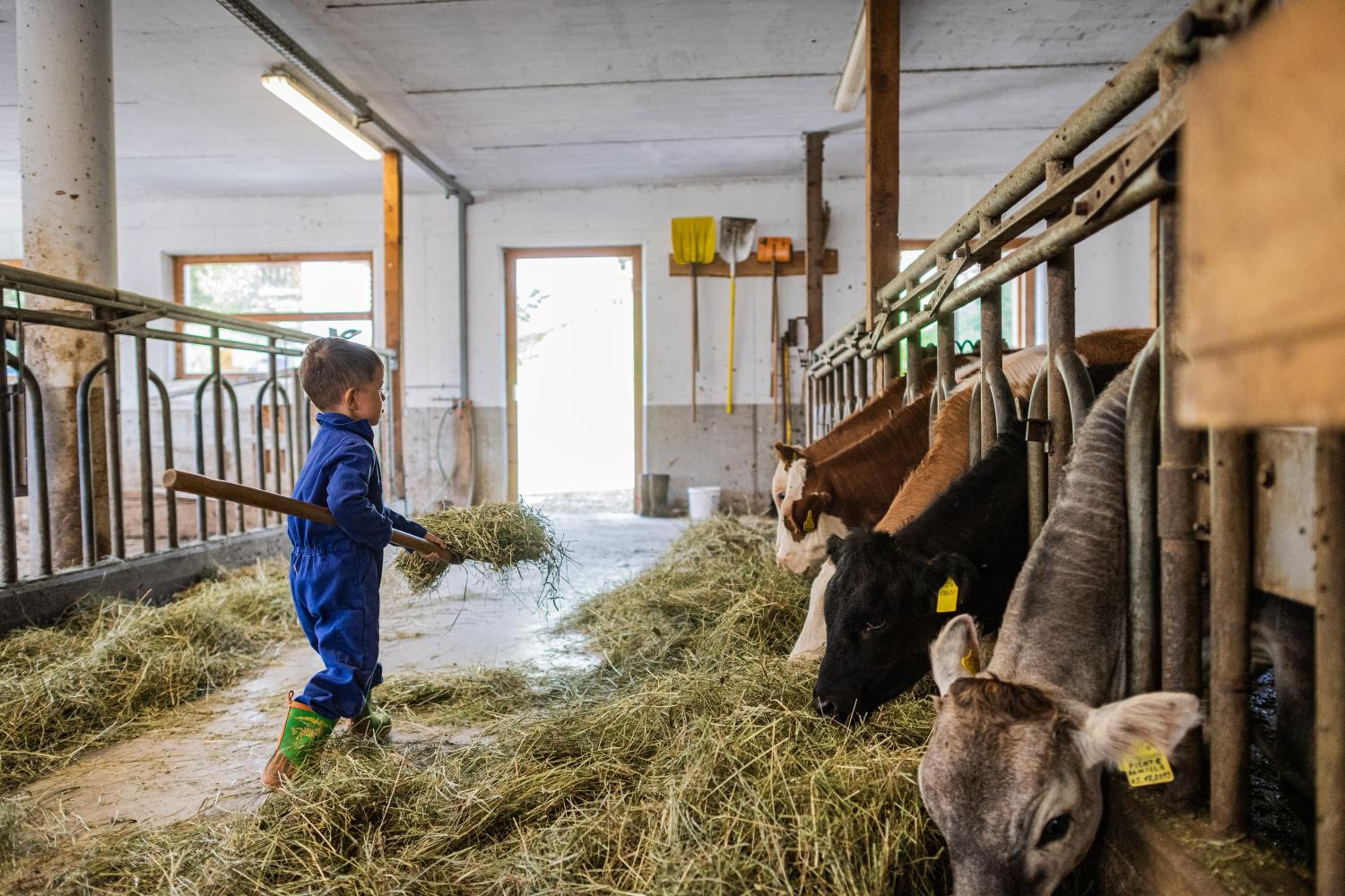 Photo 9