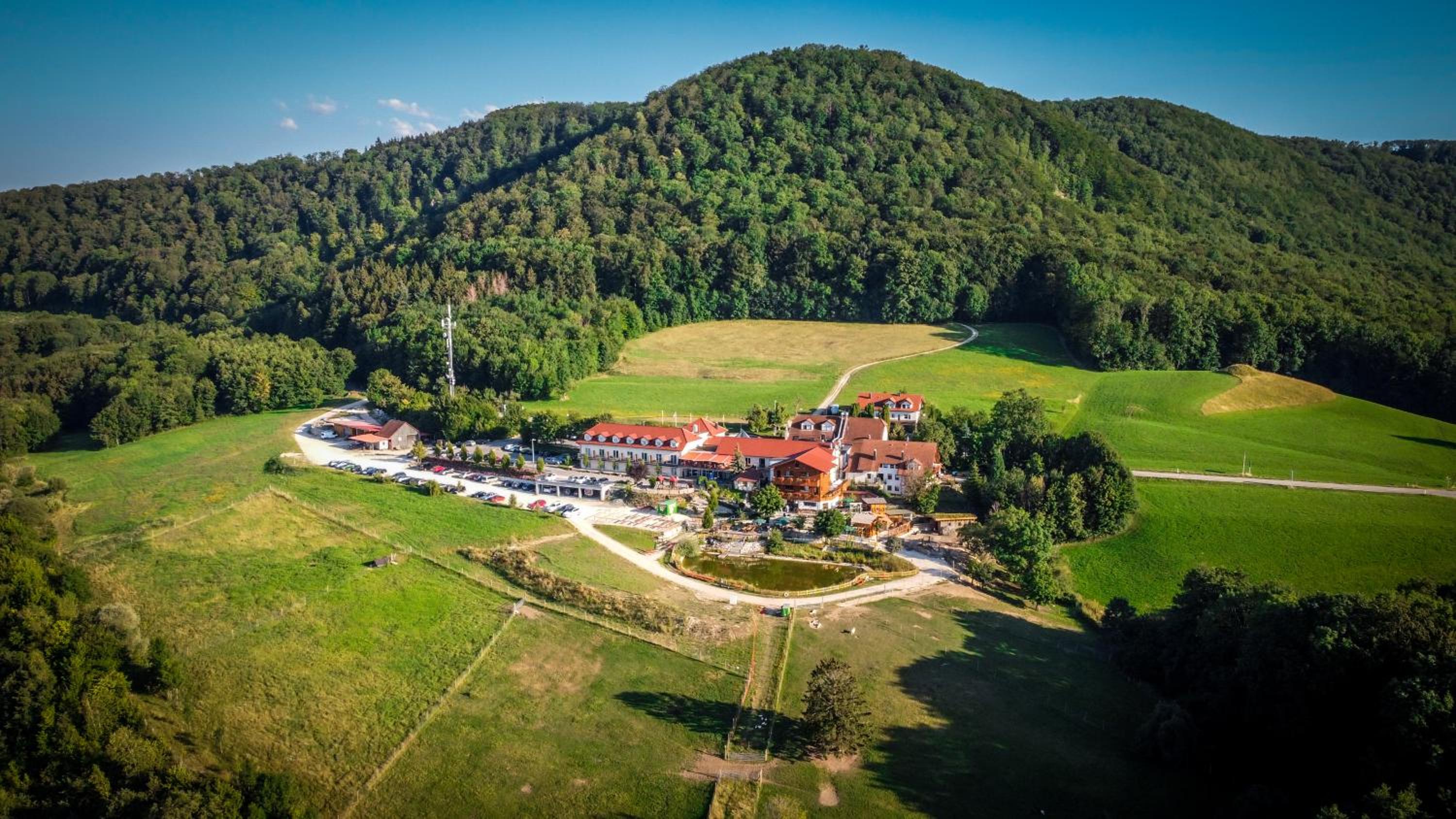 Landgasthof Deutsches Haus KG - Property Image 12