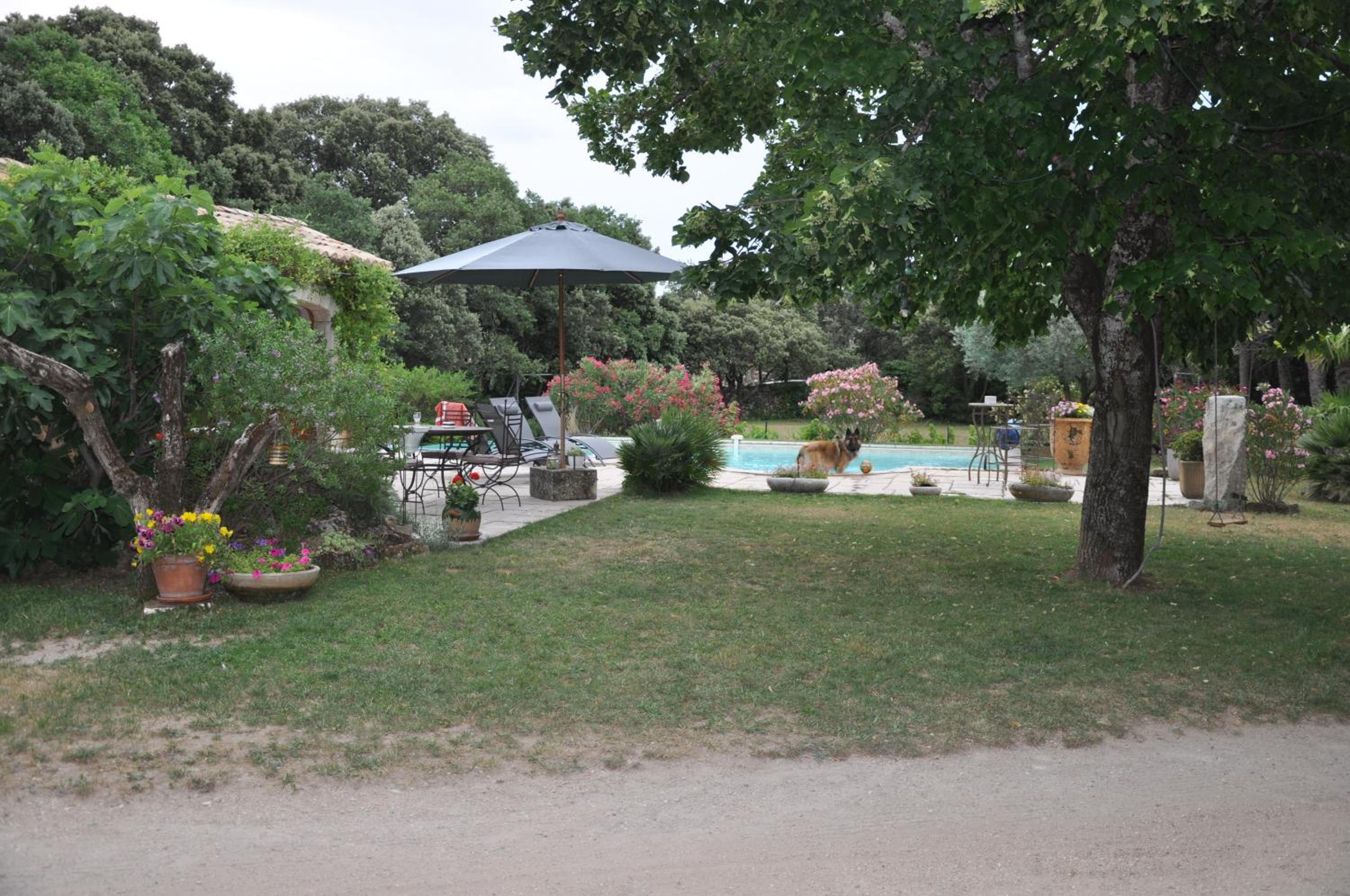 Photo 11