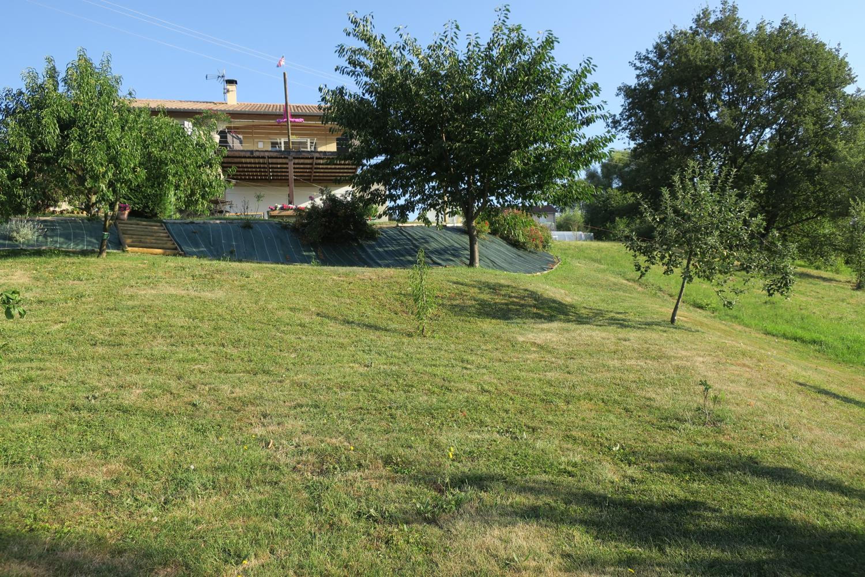 Photo 24