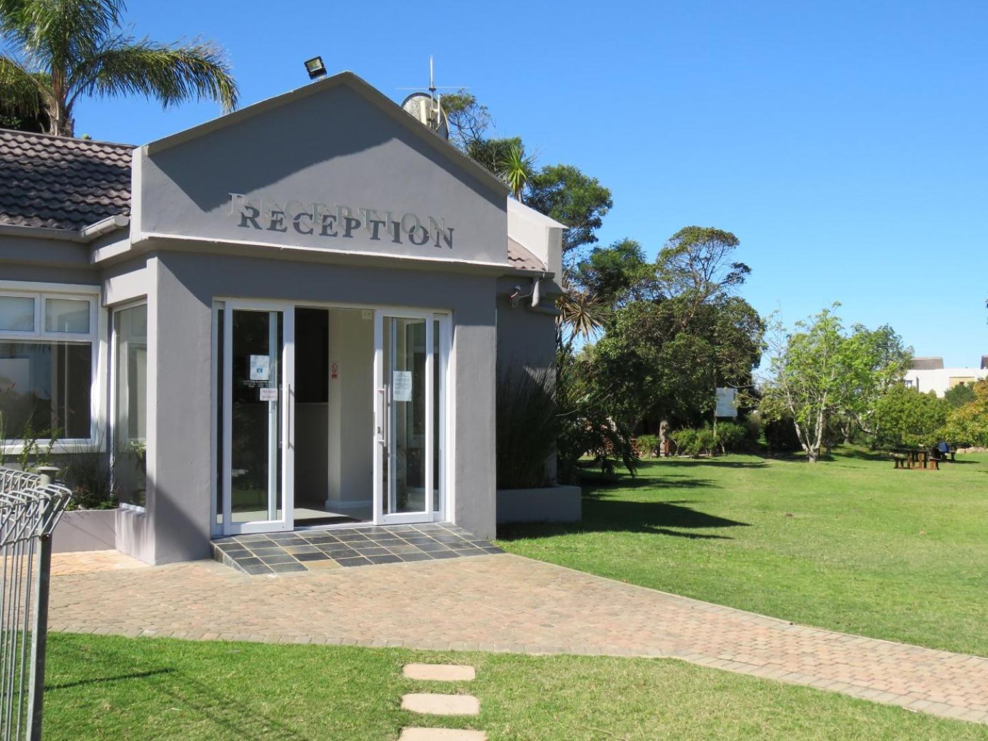 Plett D'light