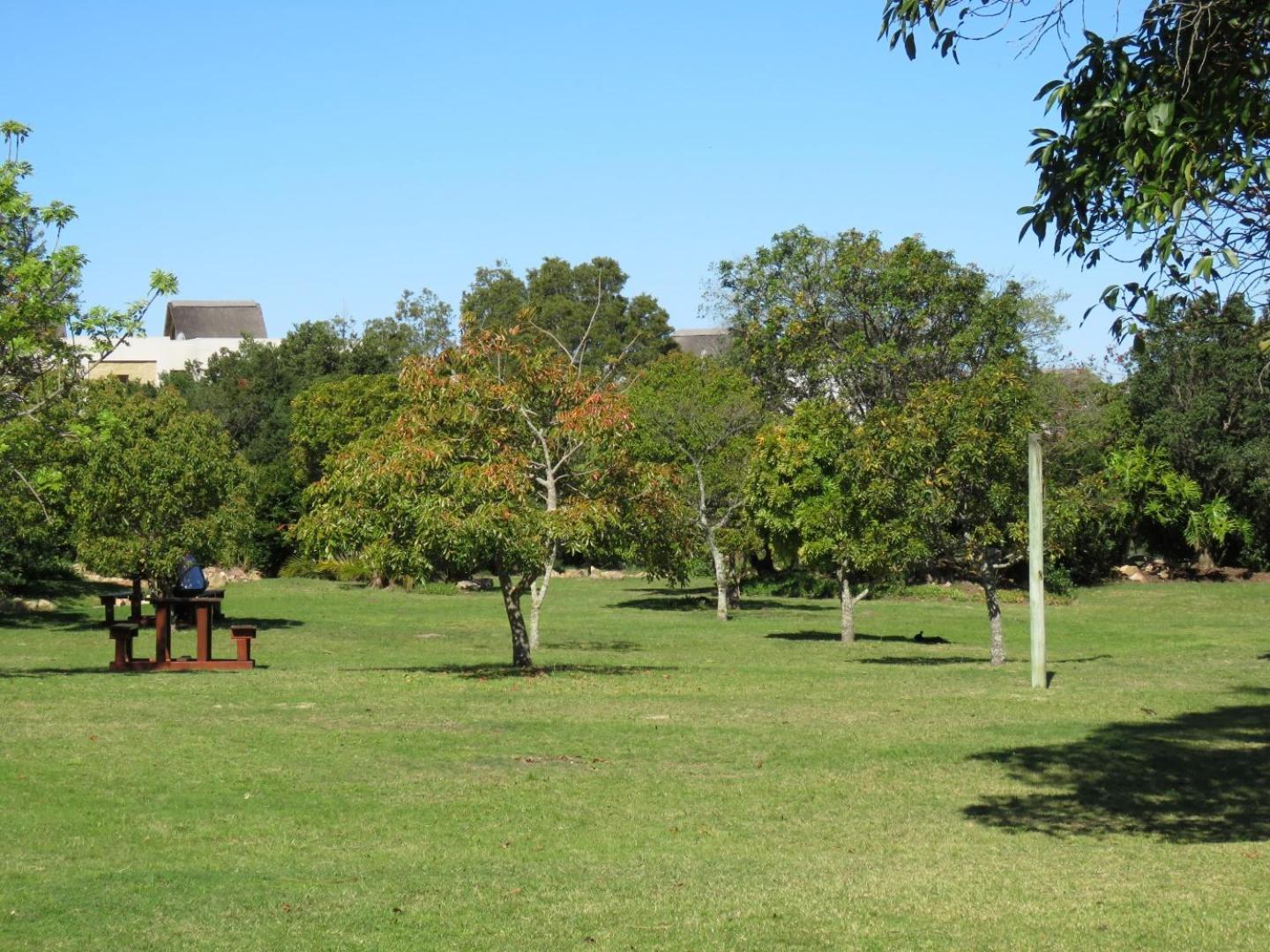 Plett D'light