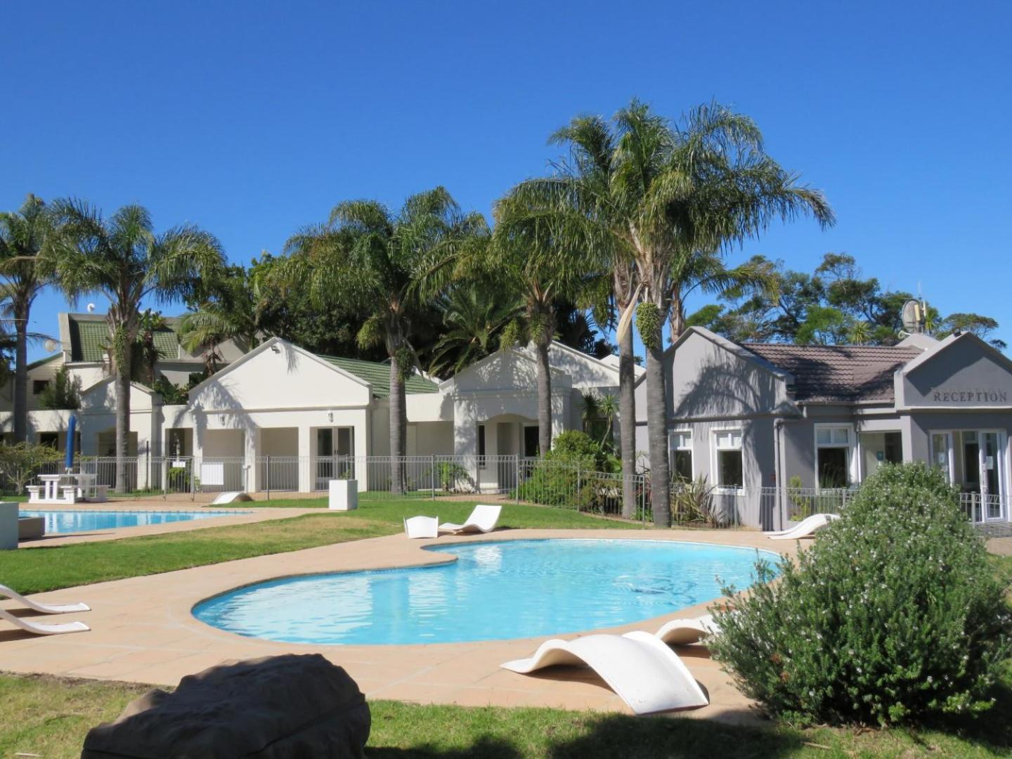 Plett D'light