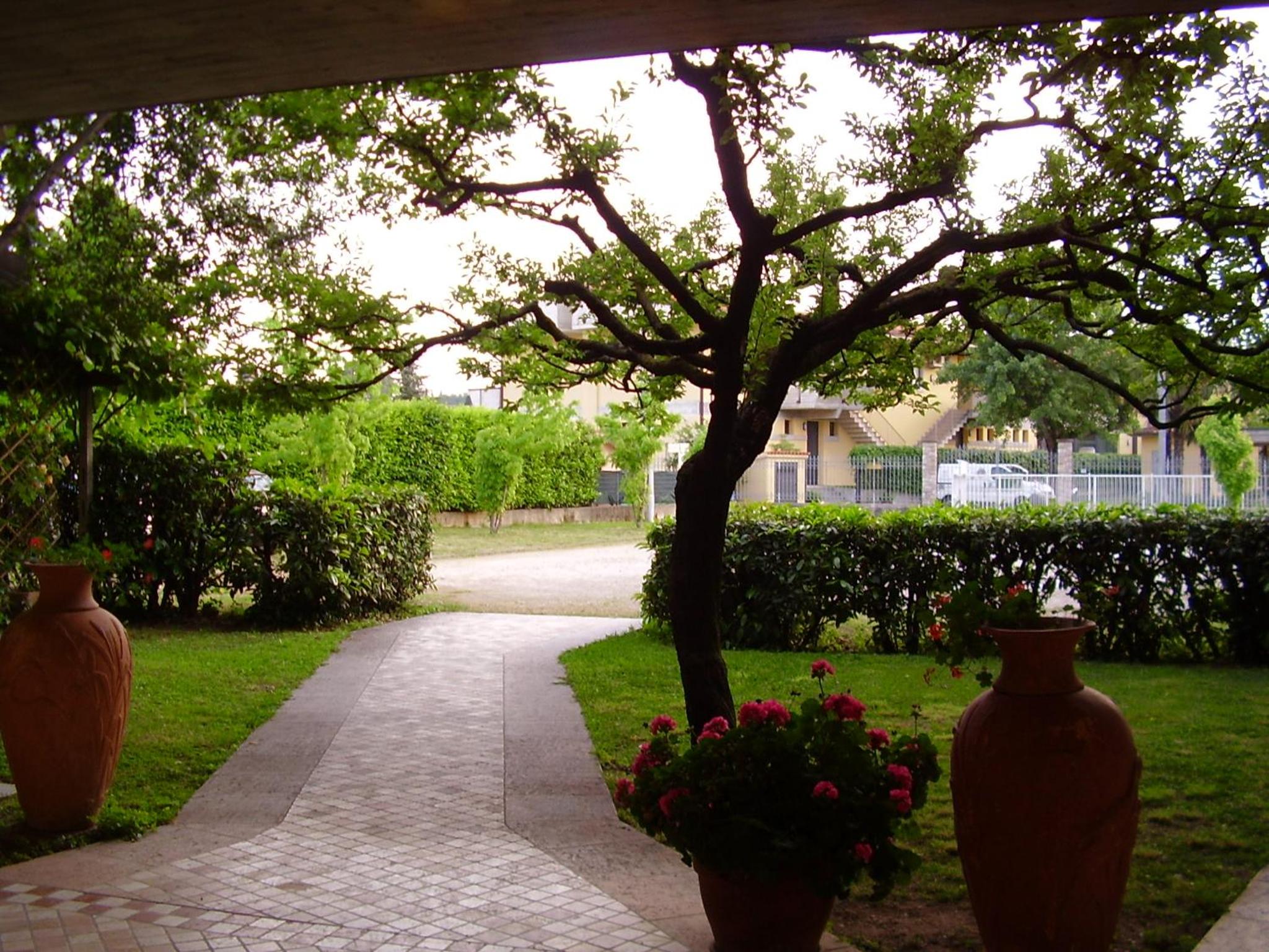 garden