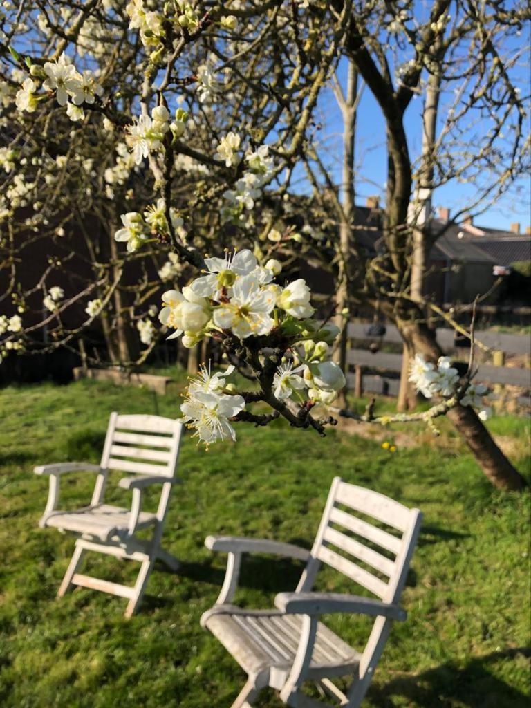 Onder De Boom view 5