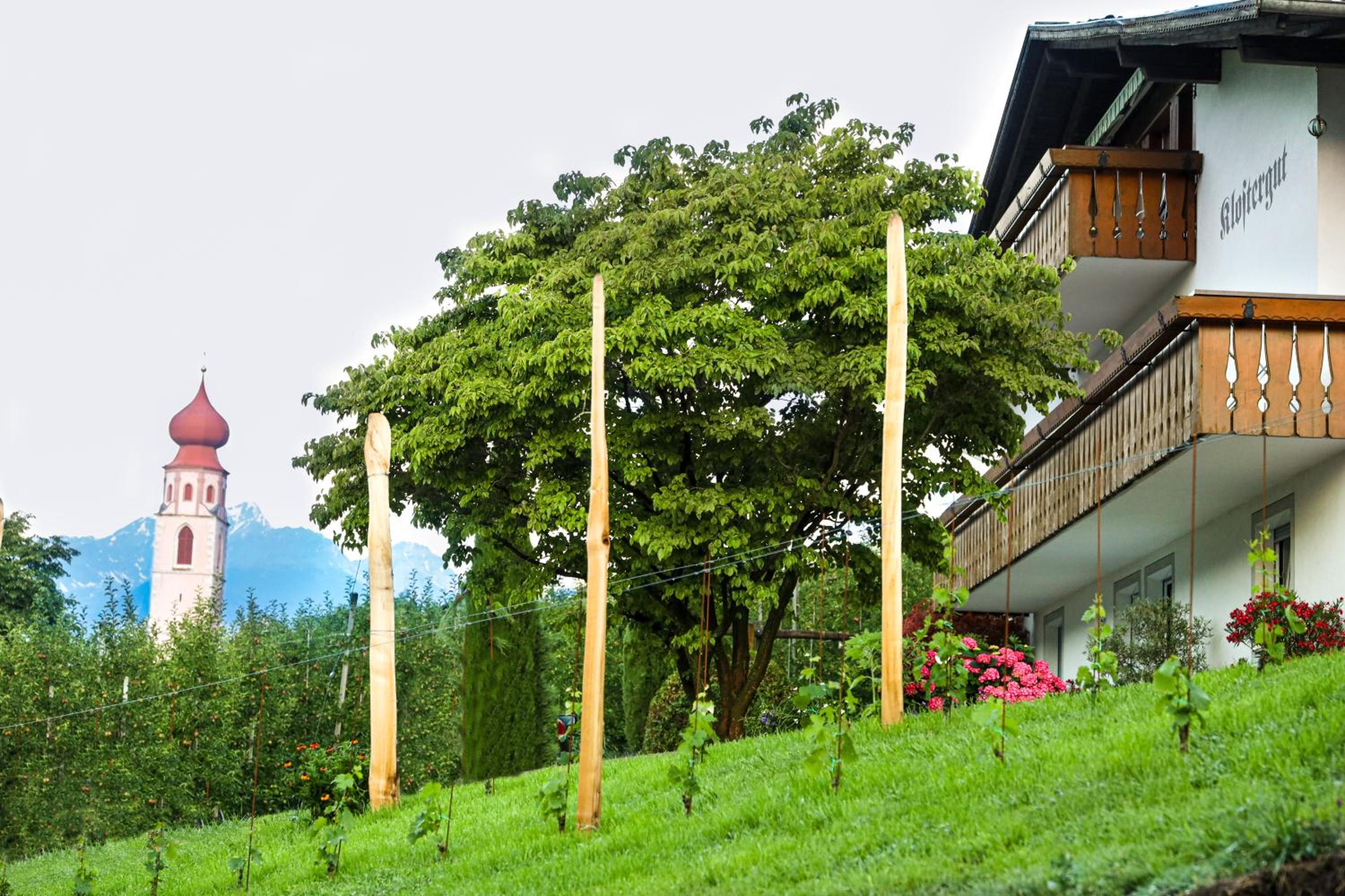Klostergut view 5