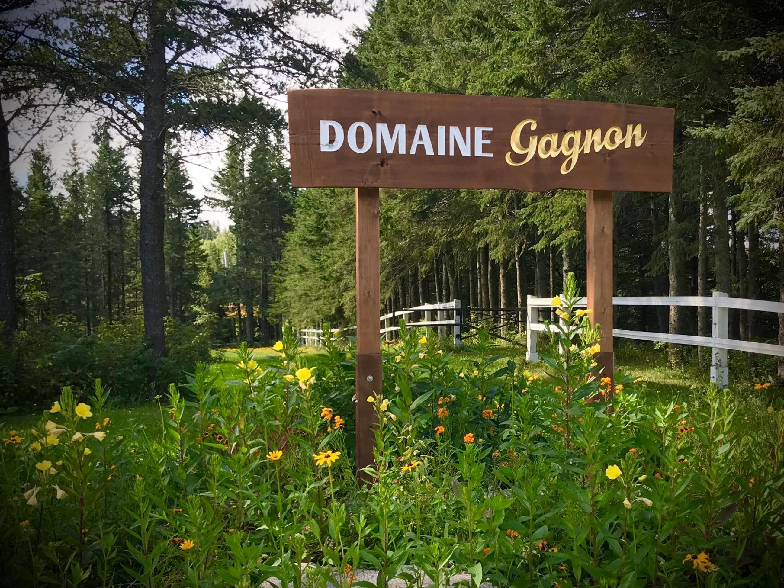 Domaine Gagnon view 4