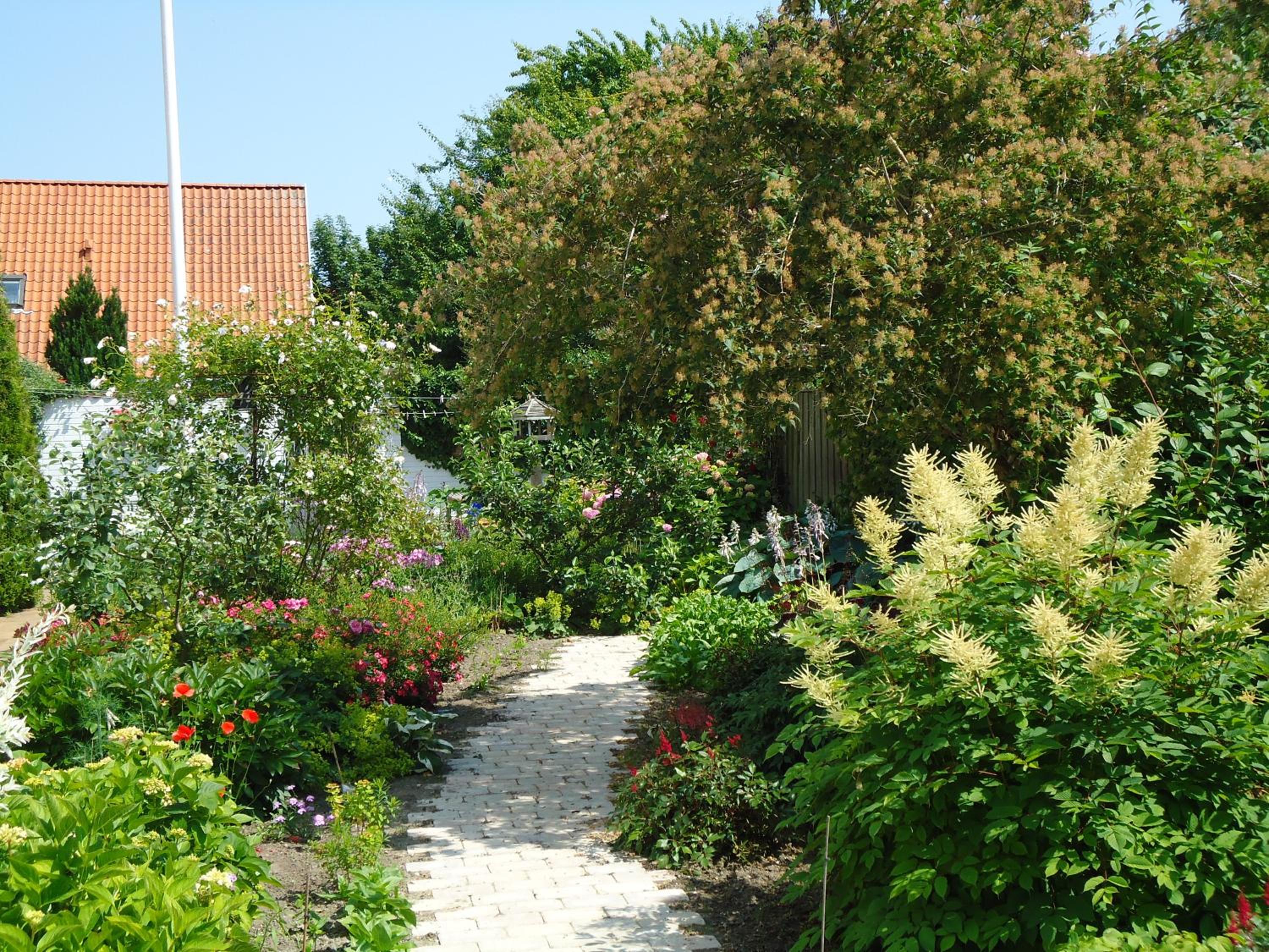 Photo 27