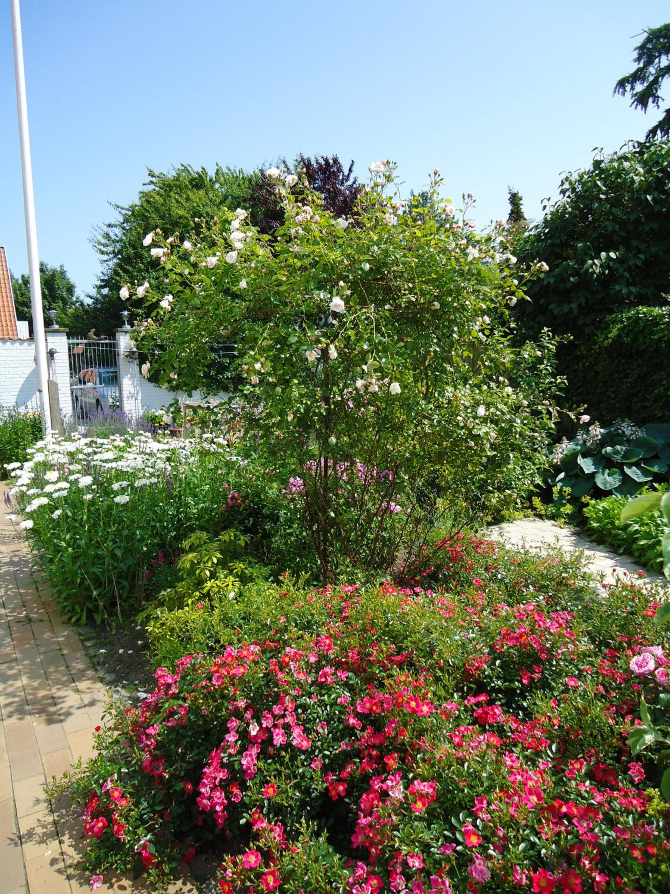 Photo 25