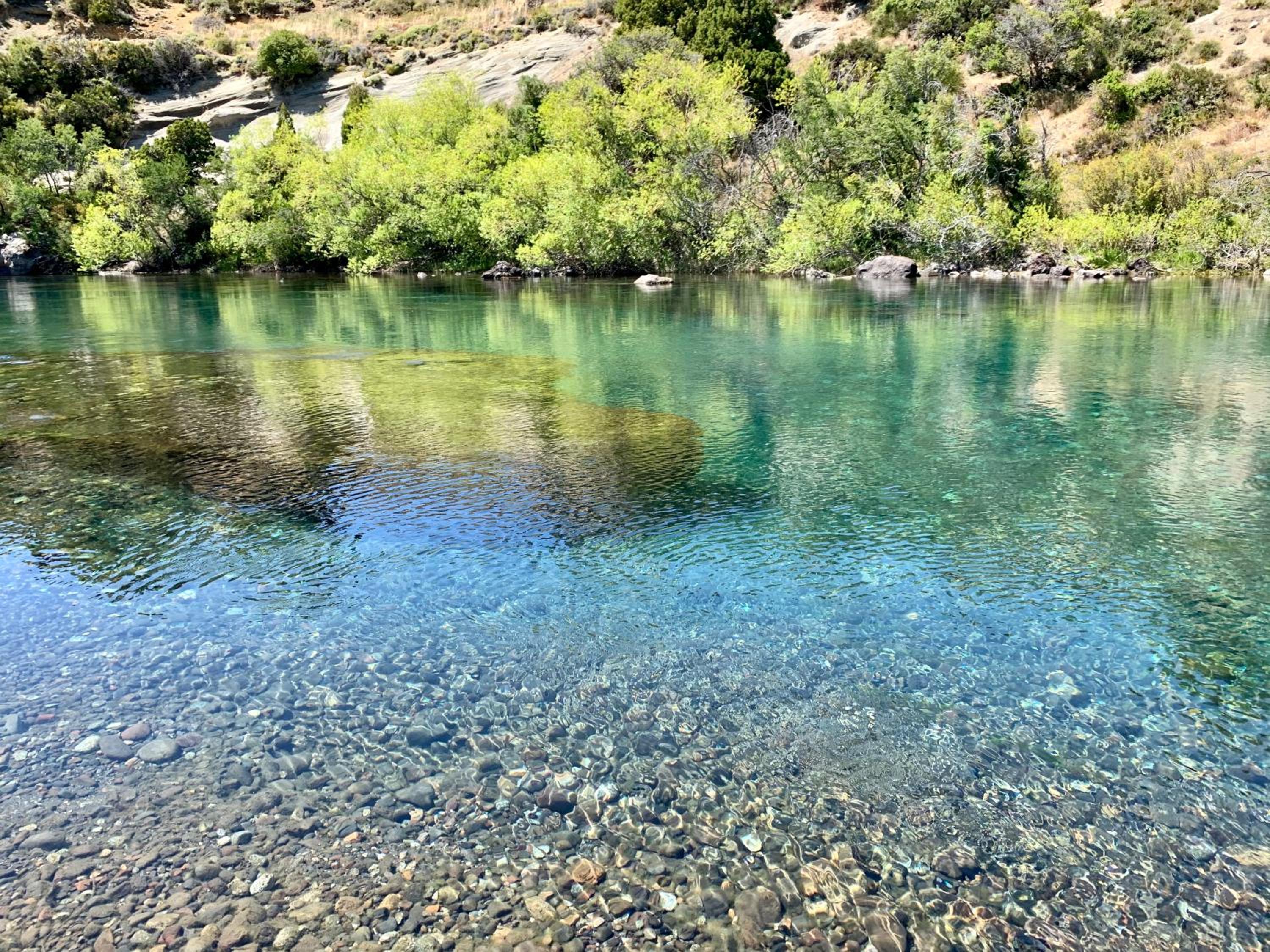Fly Fishing Cabin, Great Views
