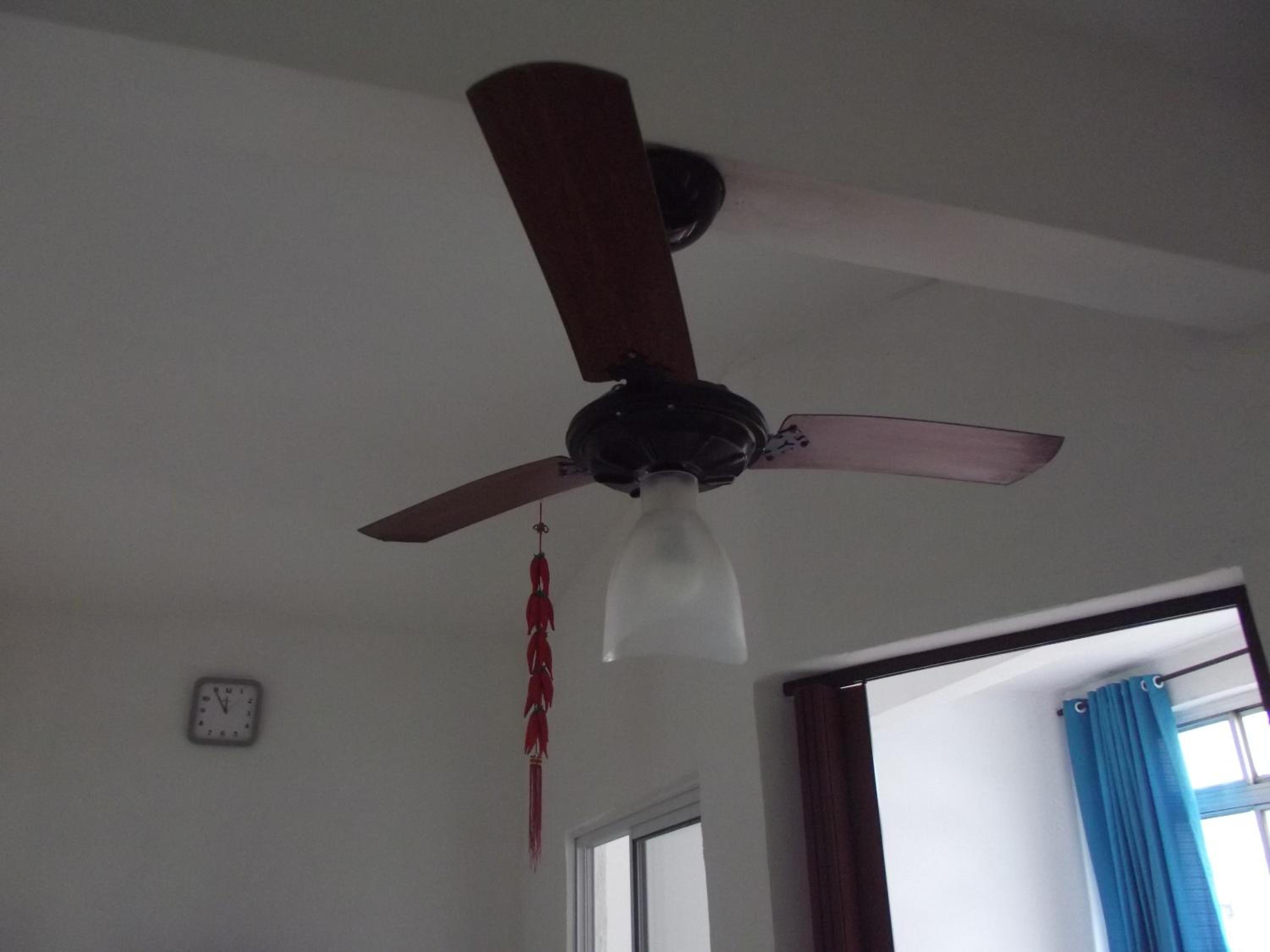 Photo 50