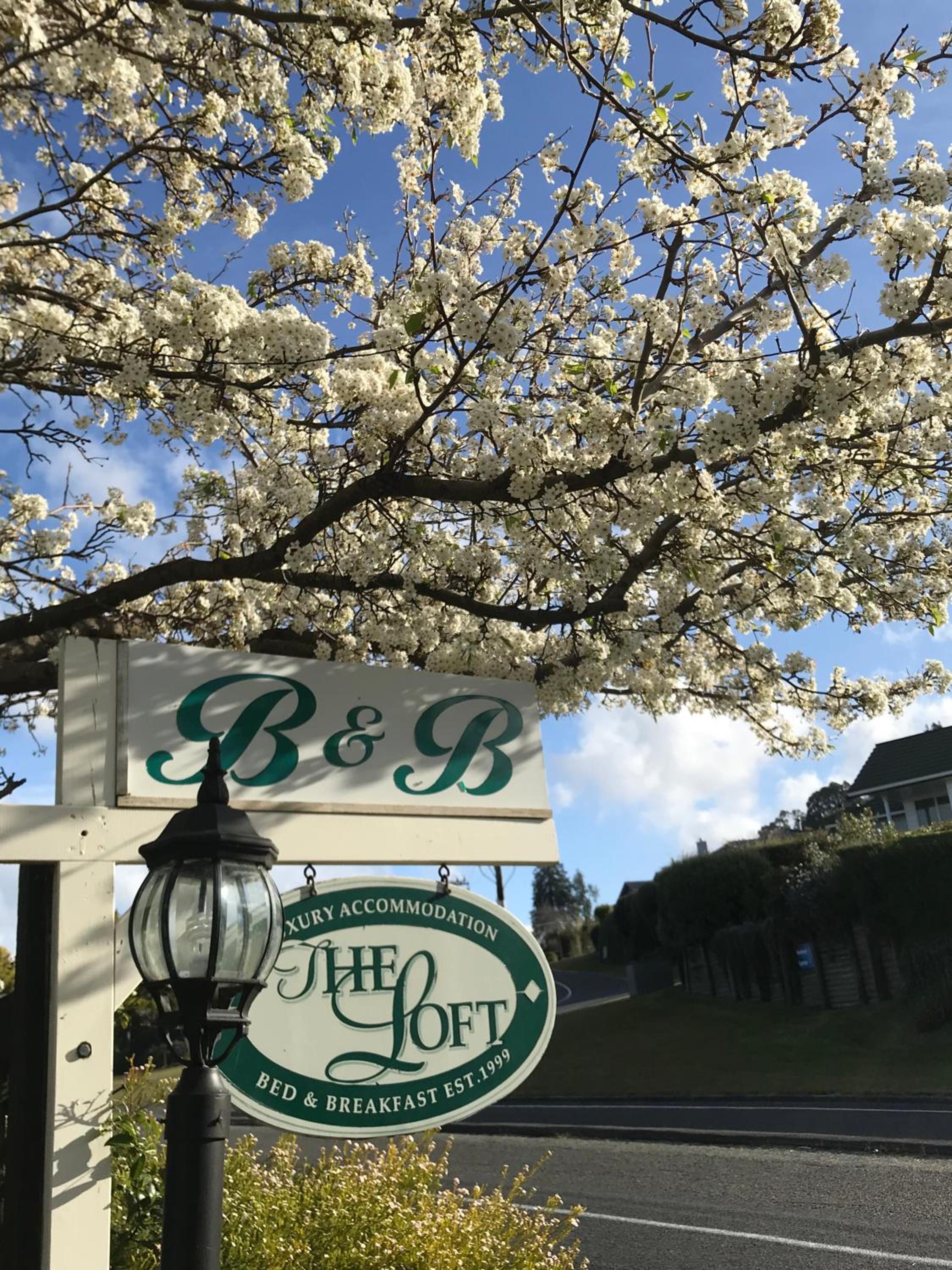 The Loft Bed and Breakfast