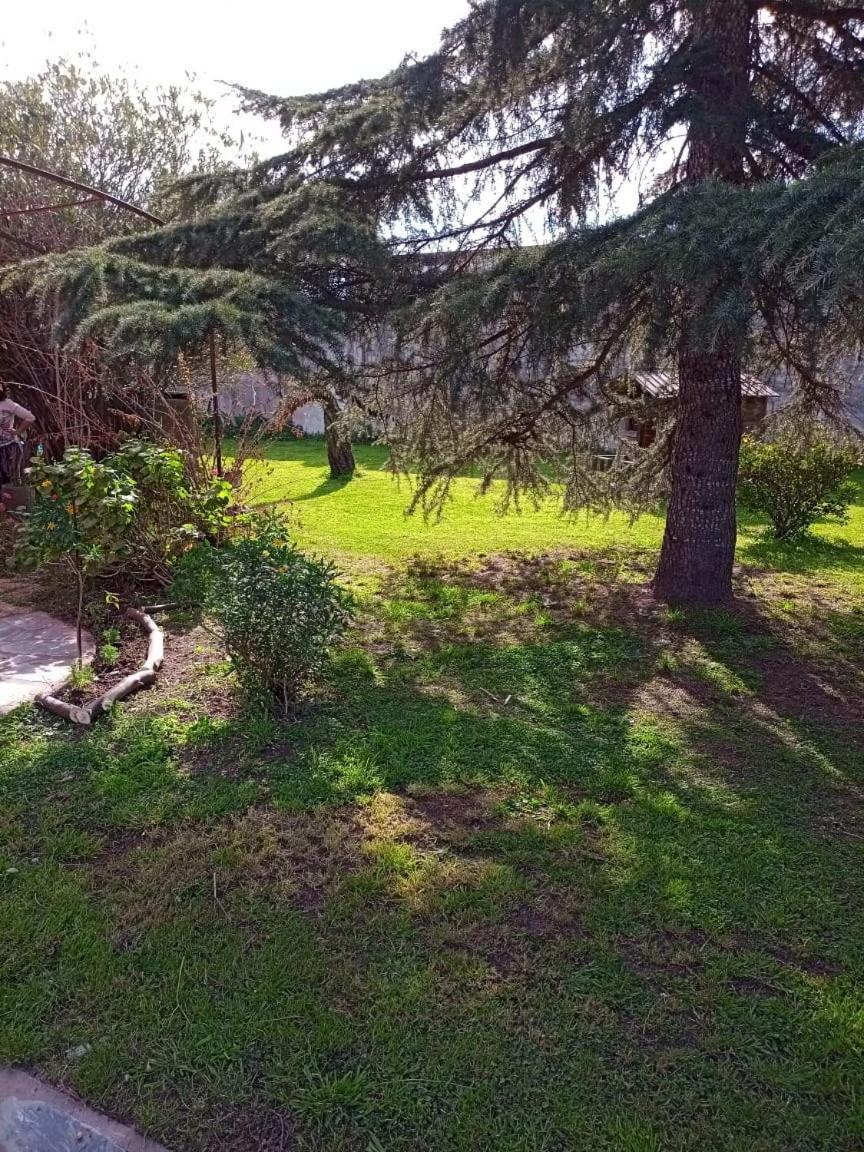 Family Place II