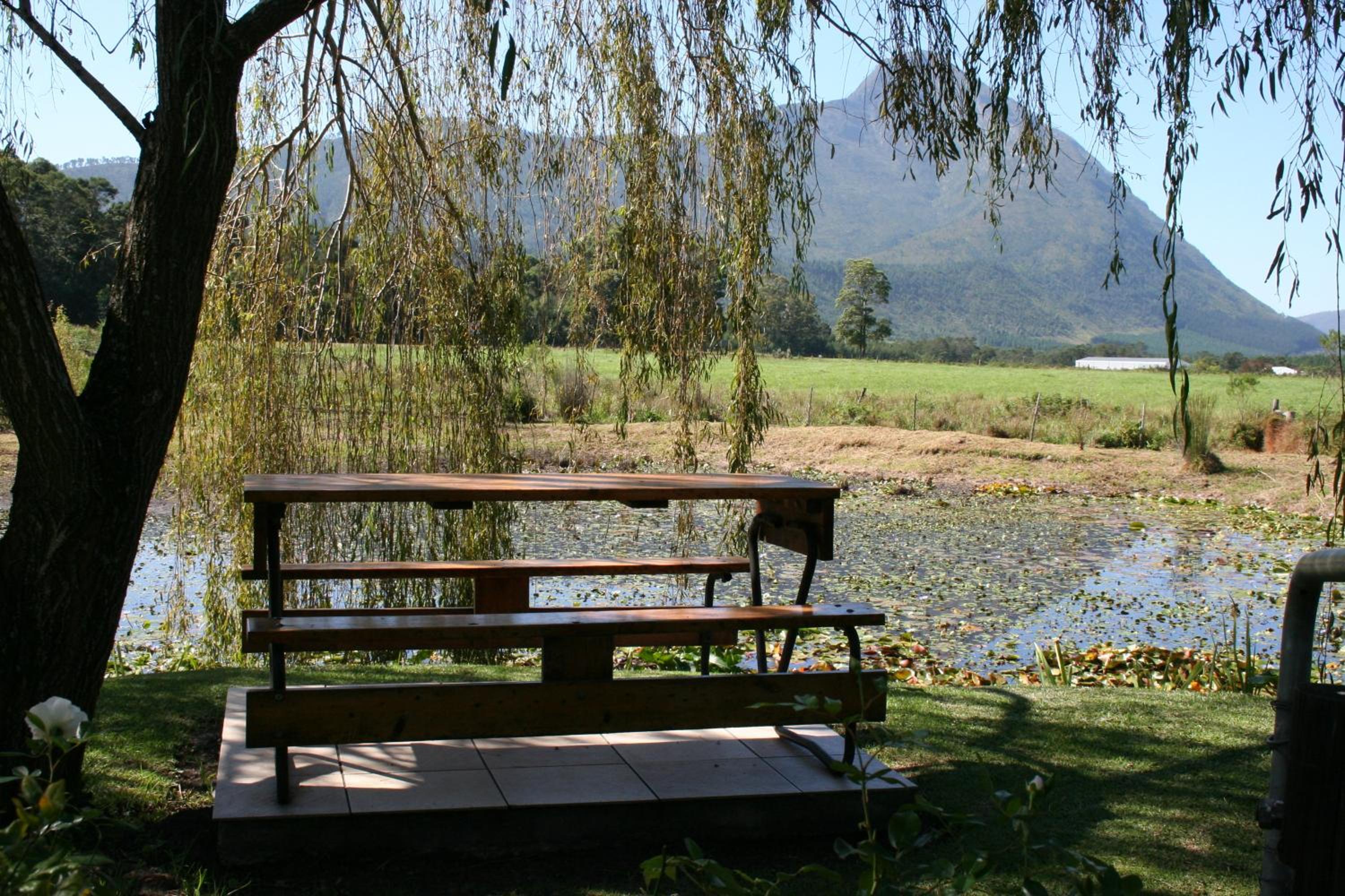 Photo 48