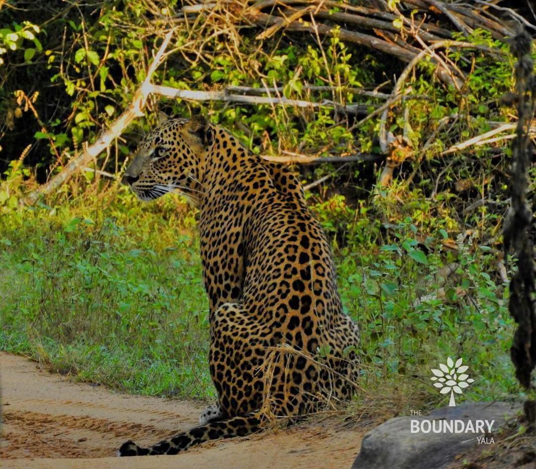 The Boundary Yala