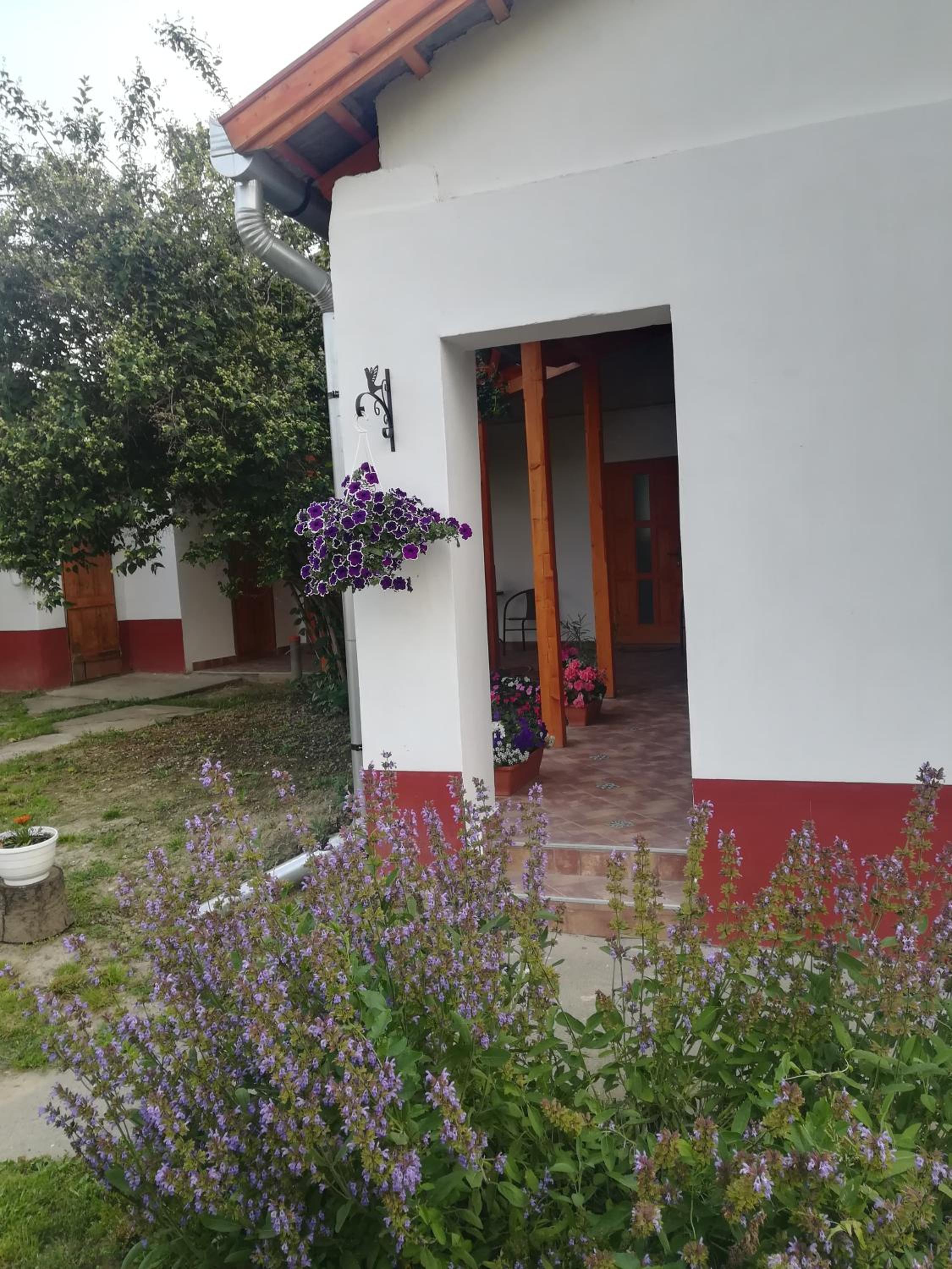 Négy Tücsök Vendégház view 4