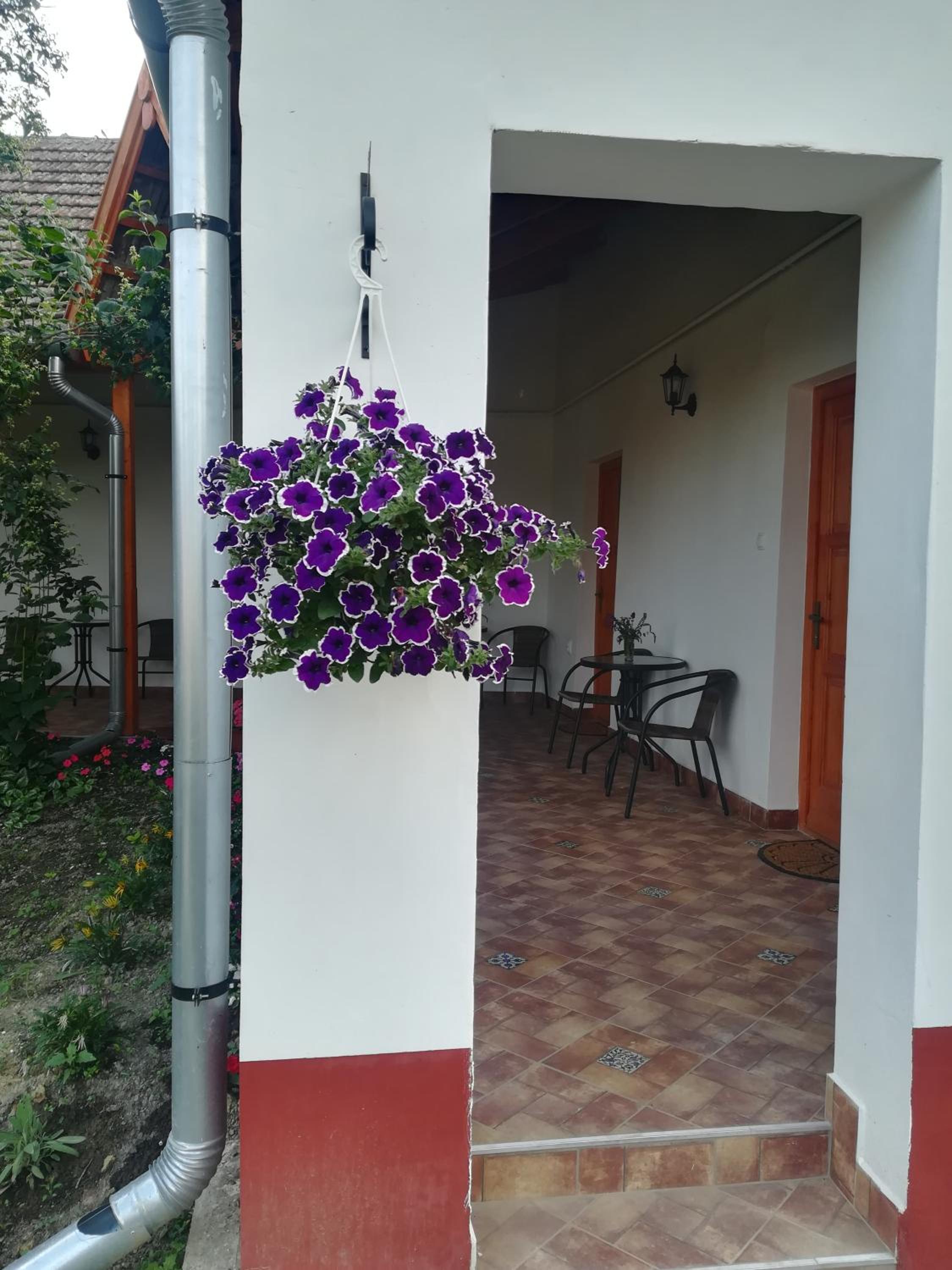 Négy Tücsök Vendégház view 2
