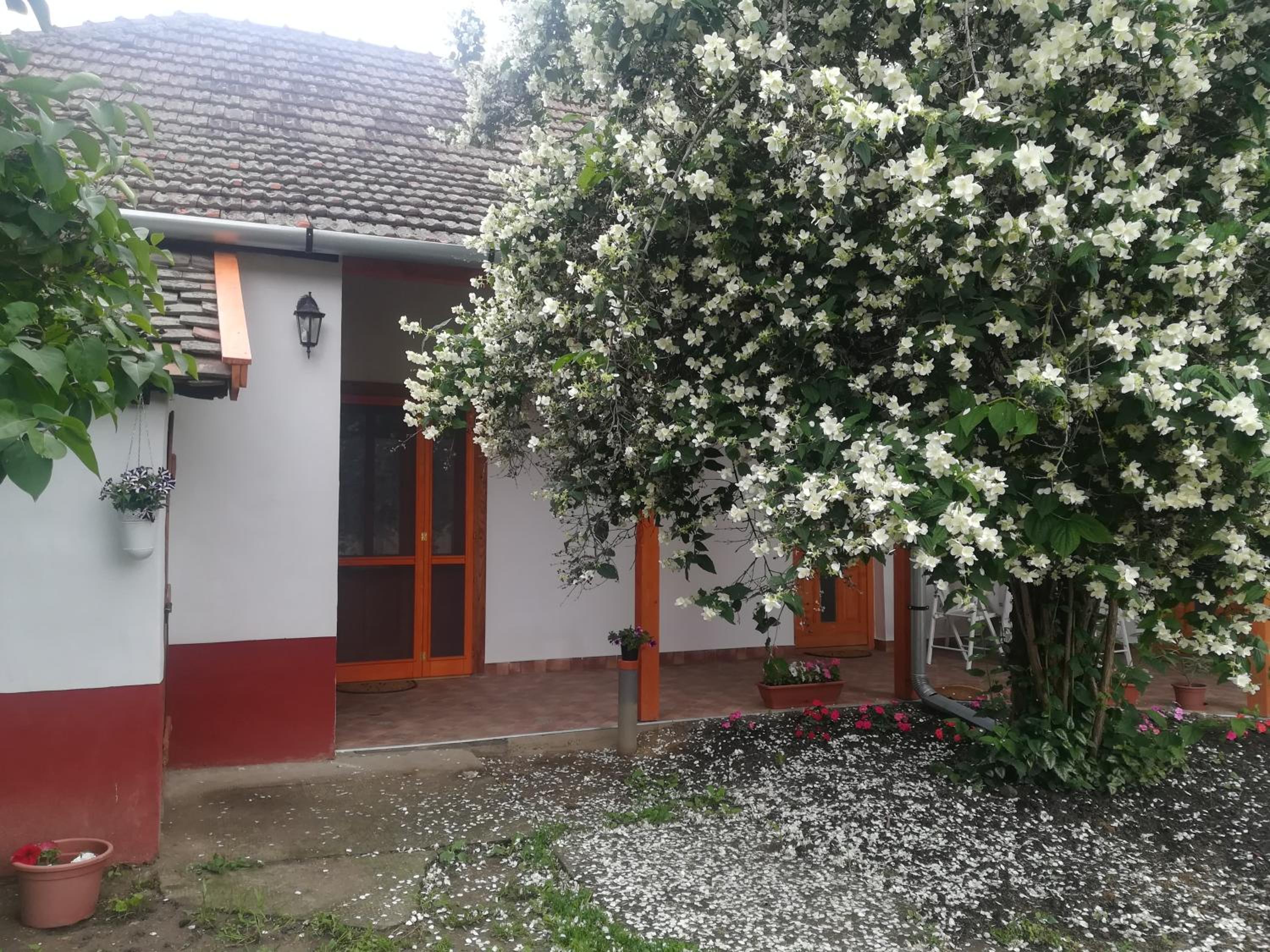 Négy Tücsök Vendégház view 5