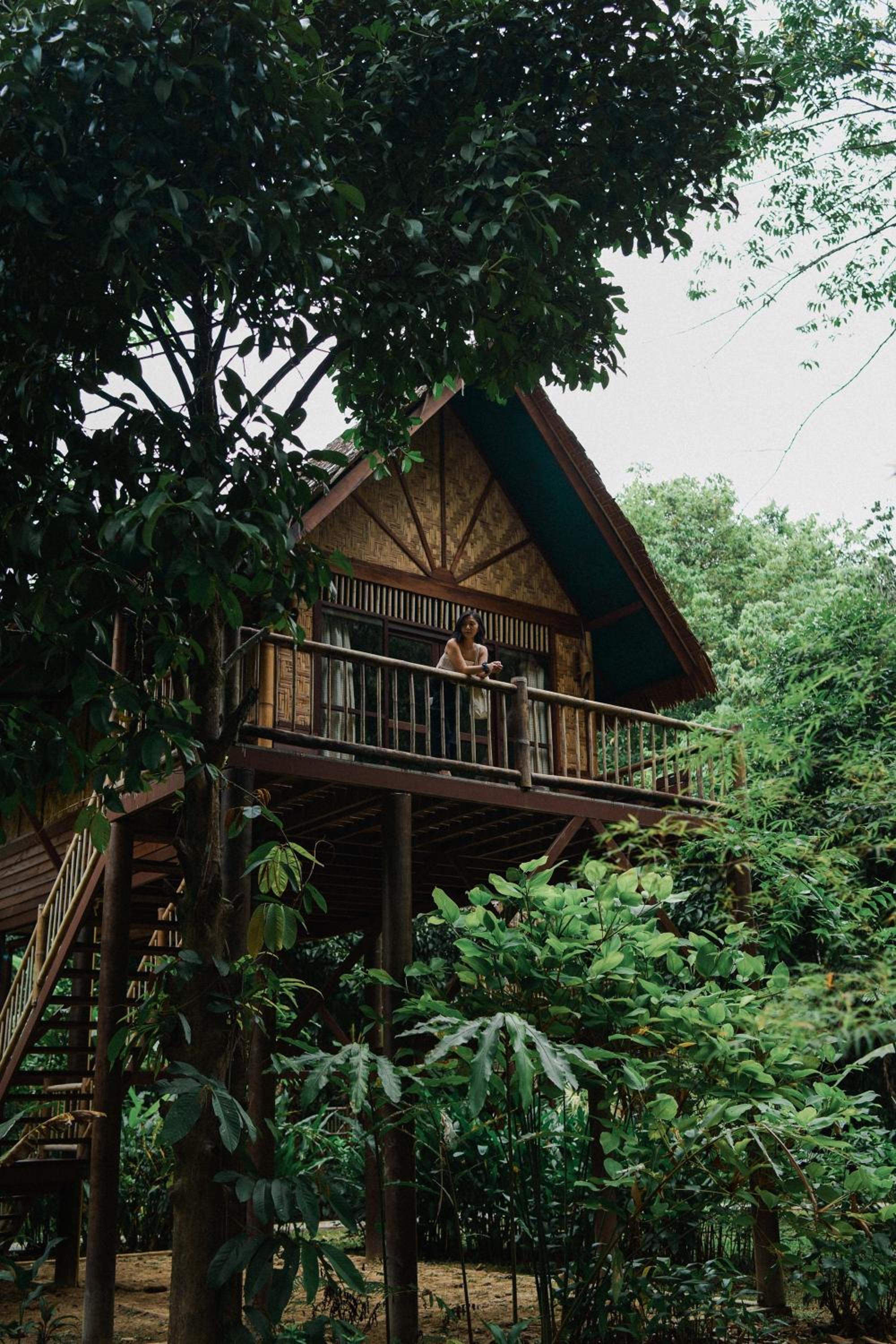 Our Jungle Camp - Eco Resort