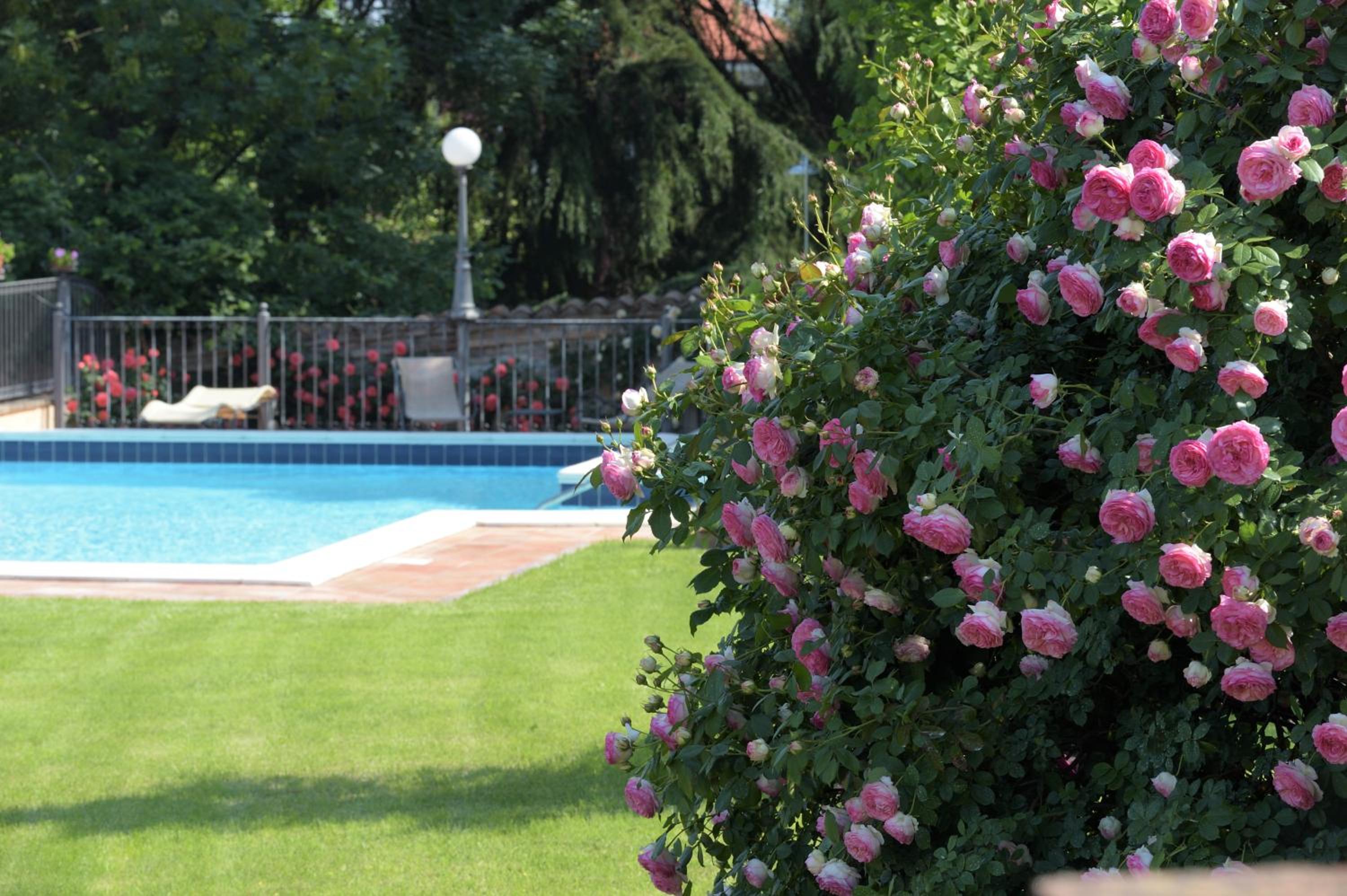 Agriturismo Corte Bebbi view 3