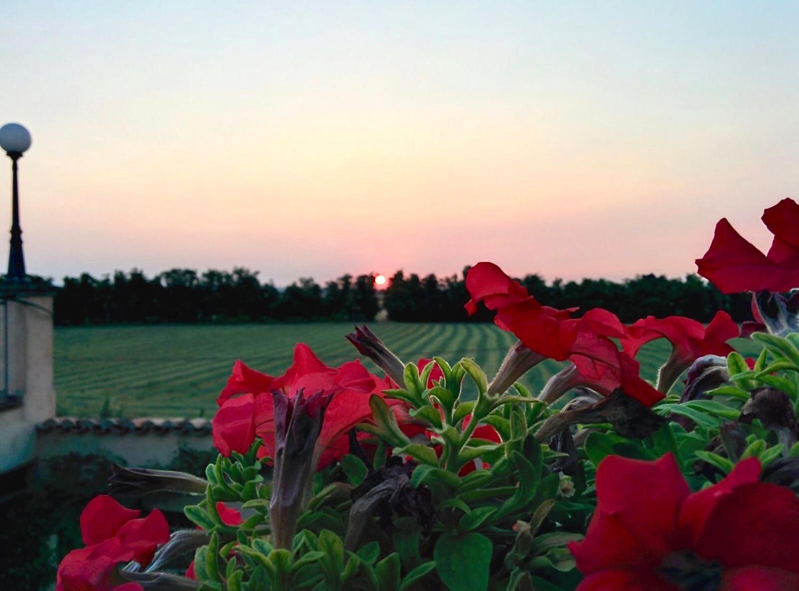 Agriturismo Corte Bebbi view 4