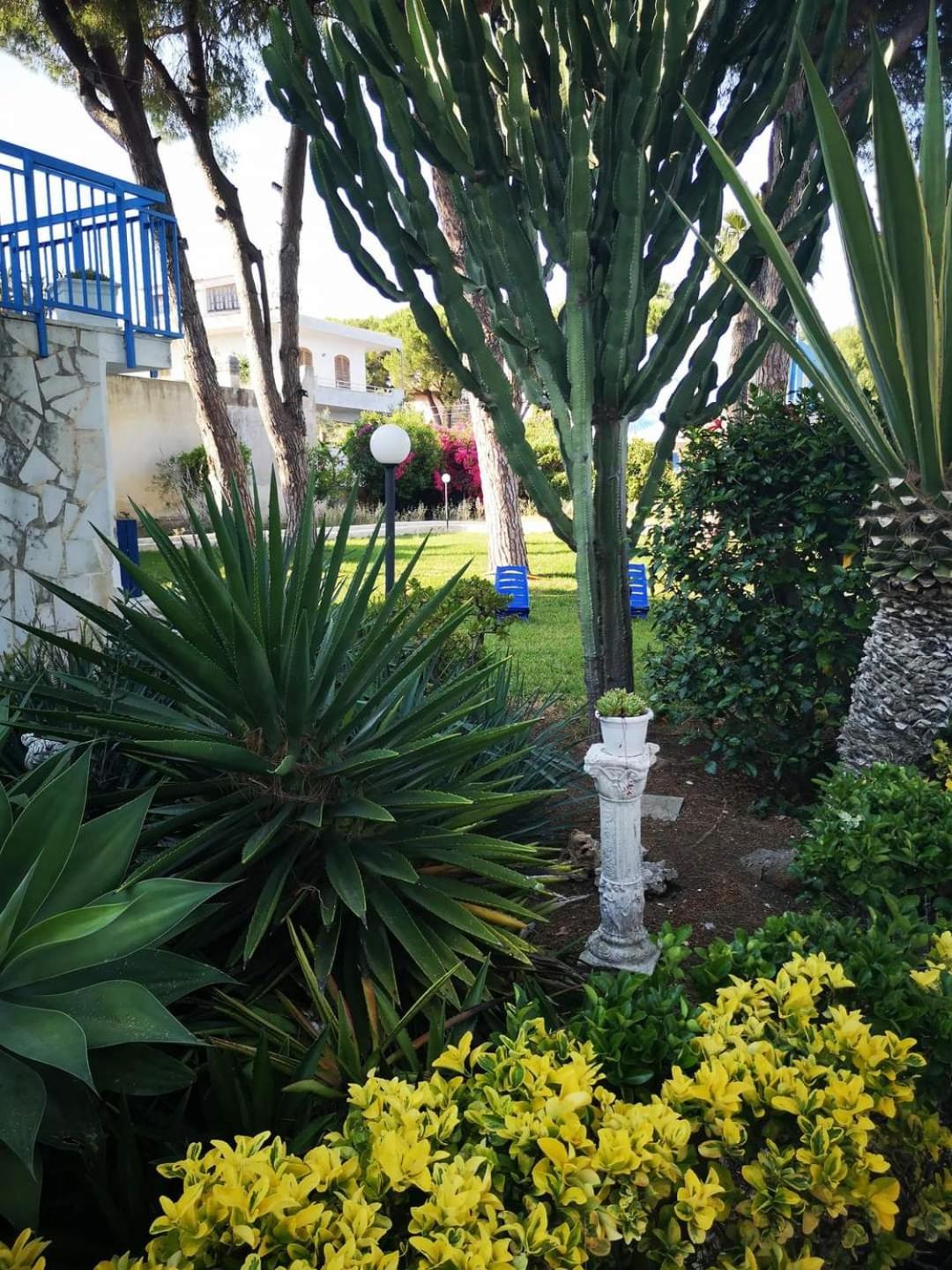 Nido Colorato B&B