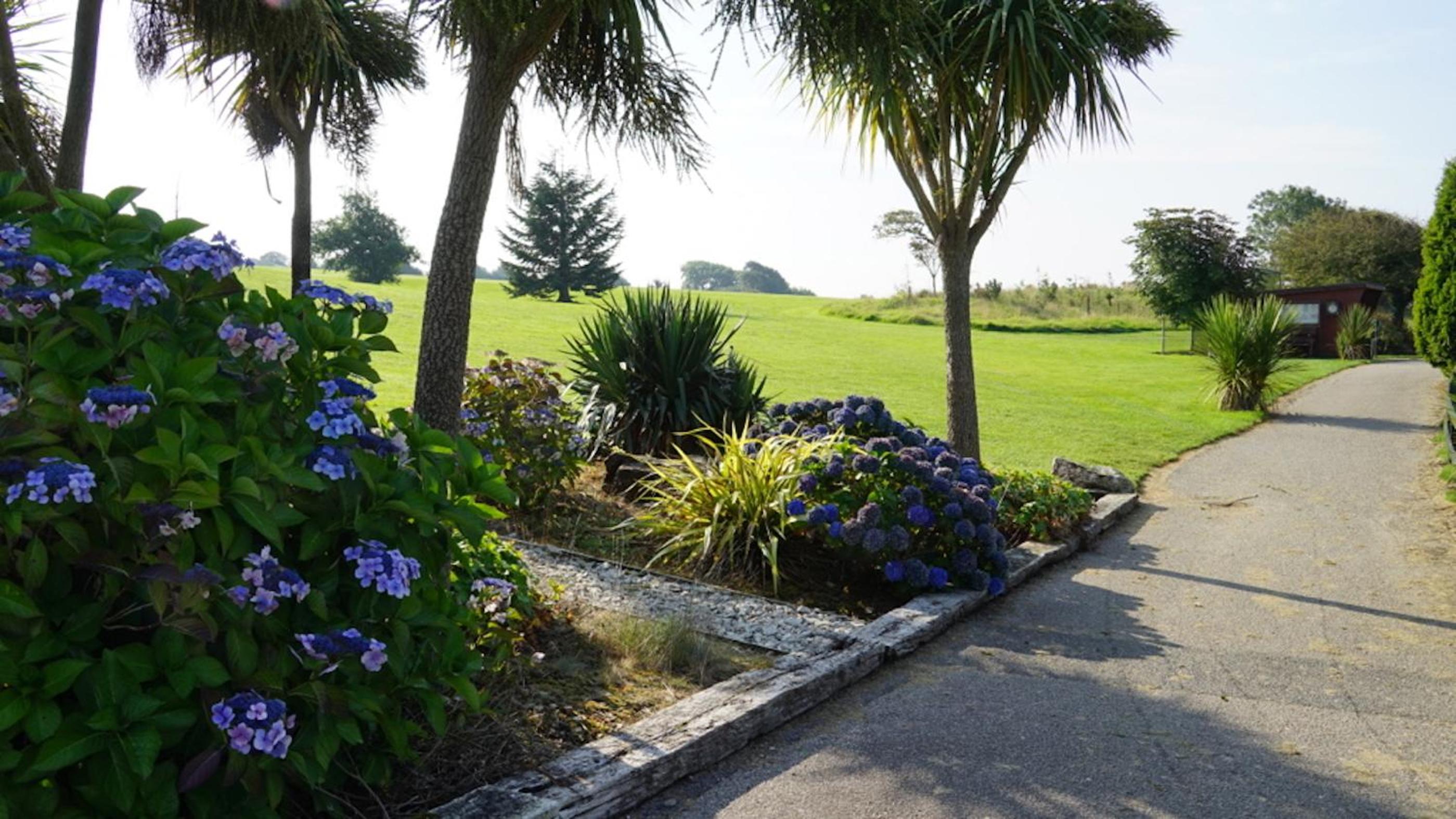 Holiday home, Camelford, Cornwall view 4