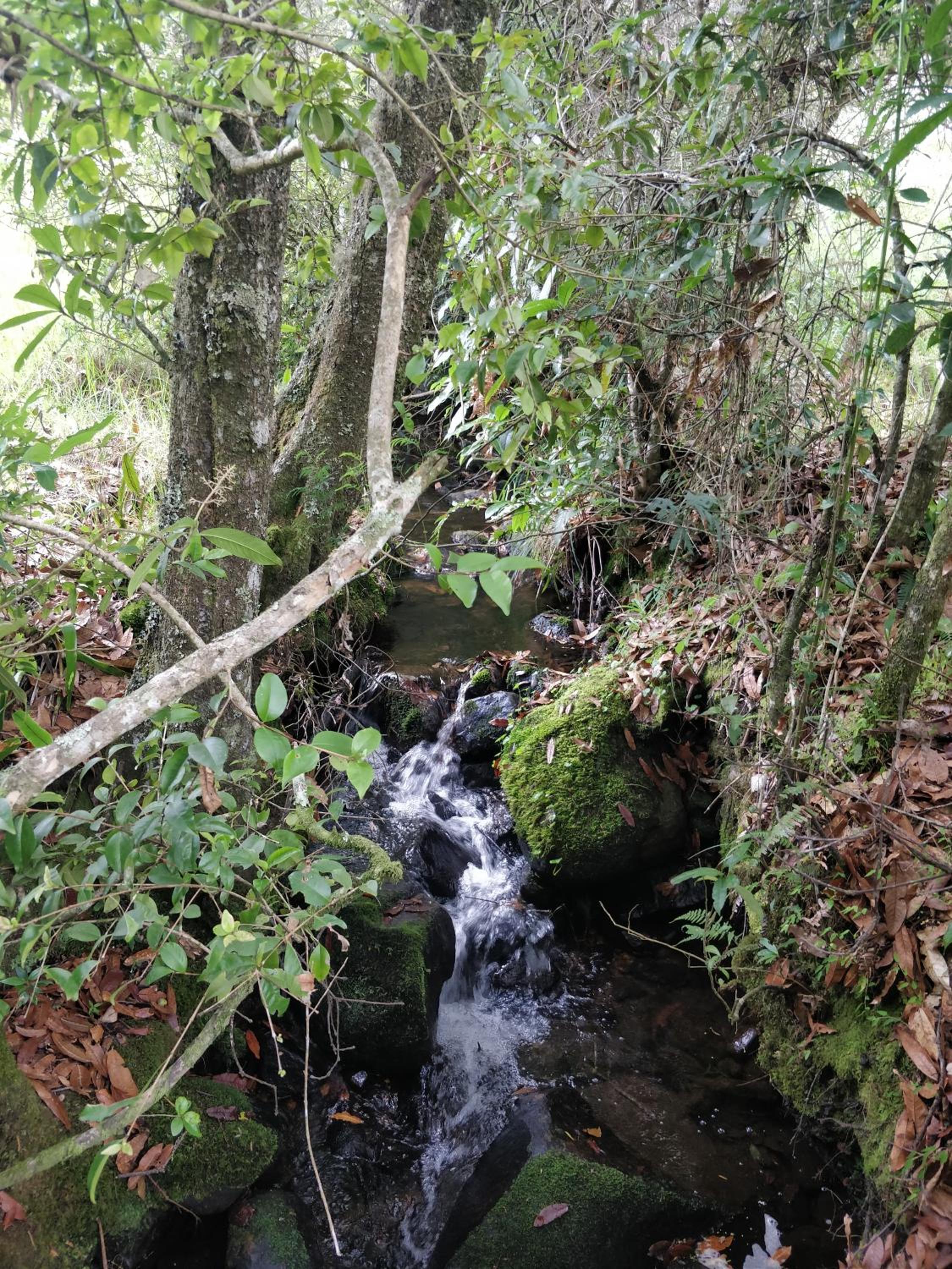 Photo 23
