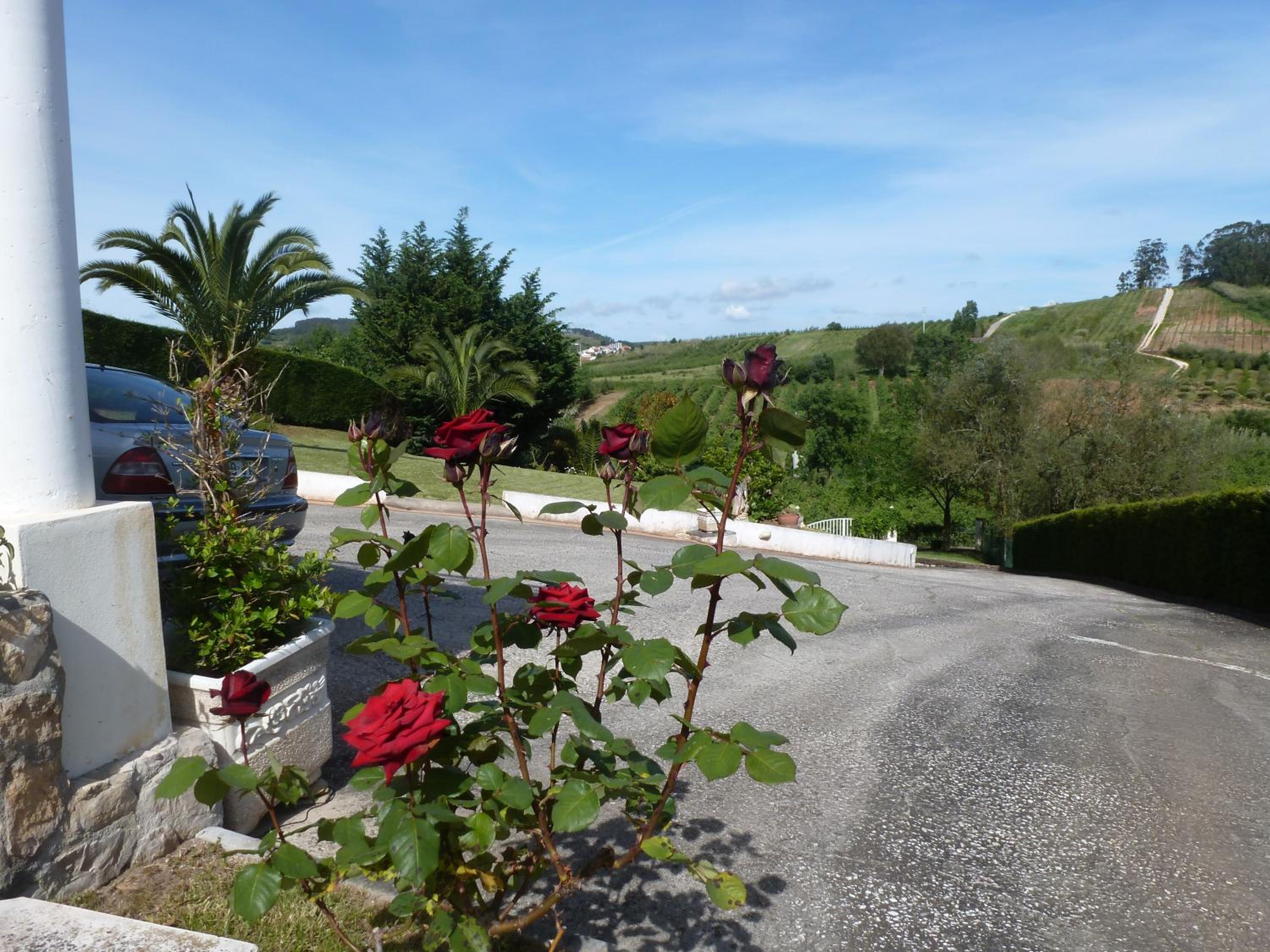 Casa Bianca view 4