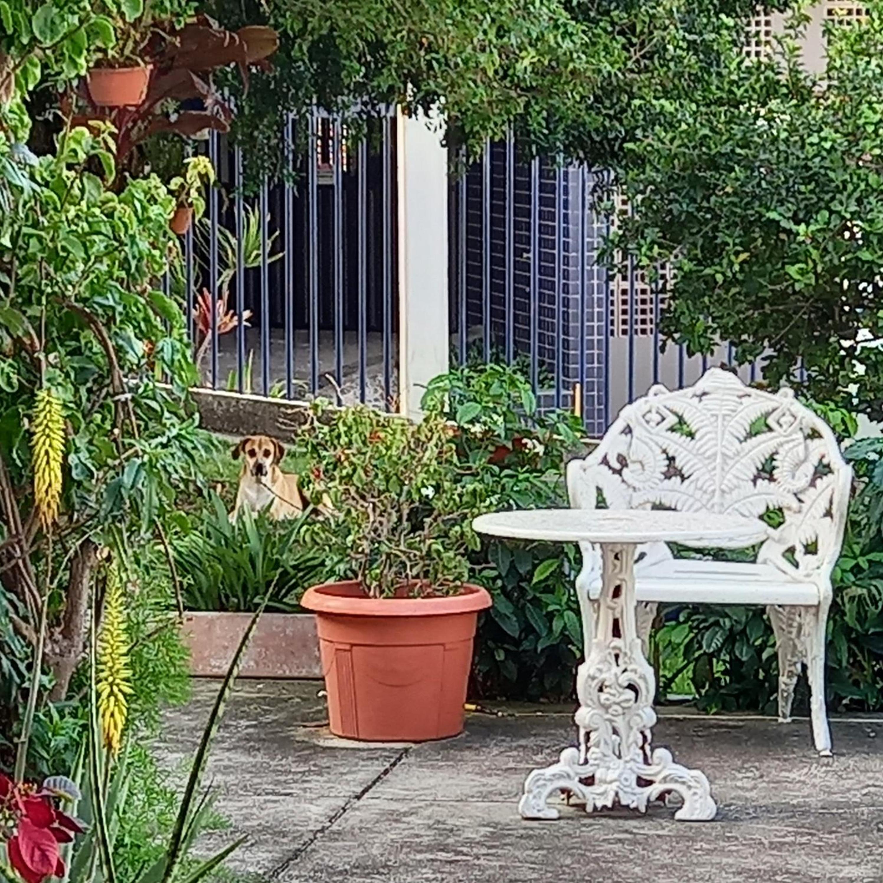 Hostel Villa Virtudes