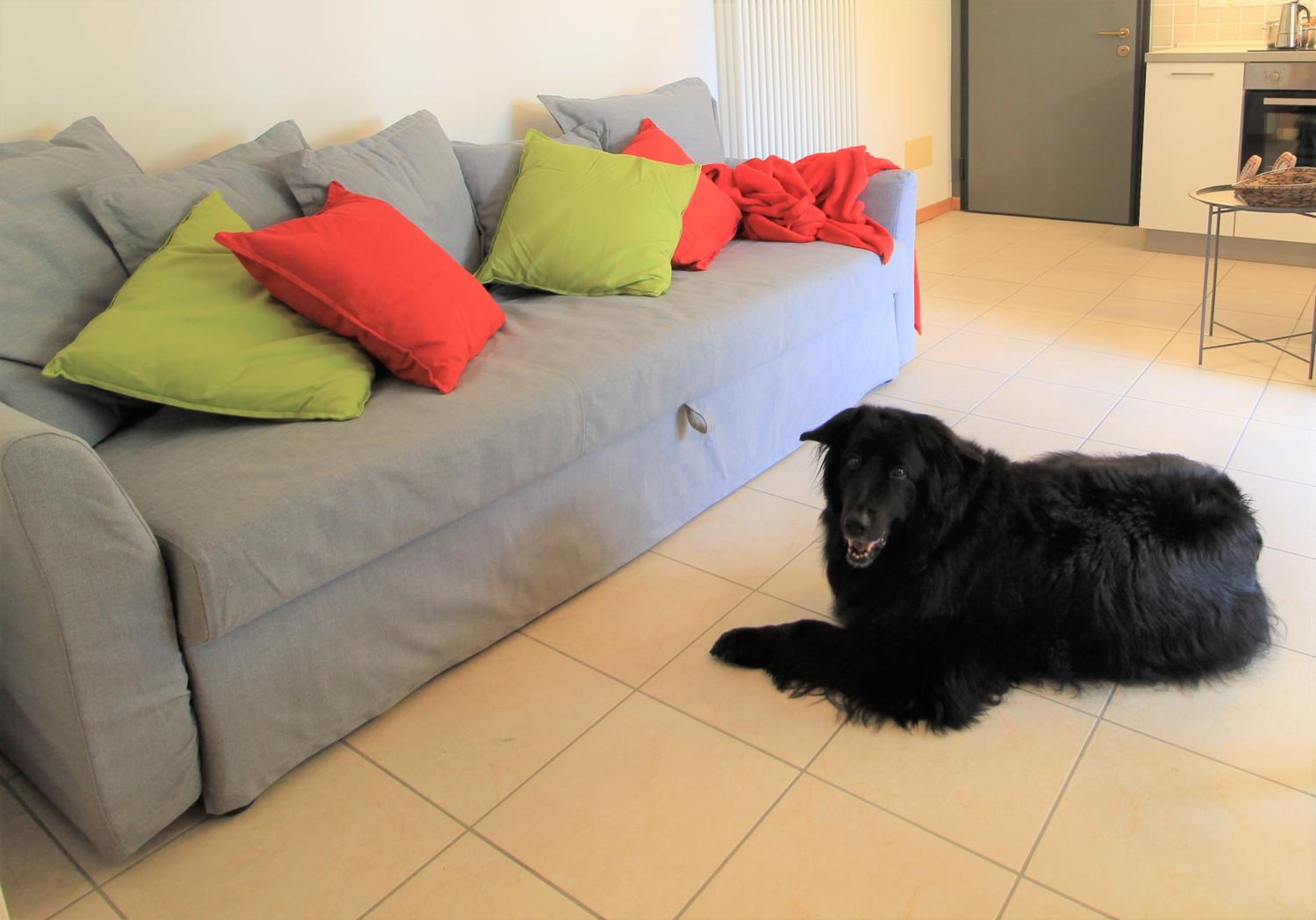 Haus Martina by ISA AGENTUR