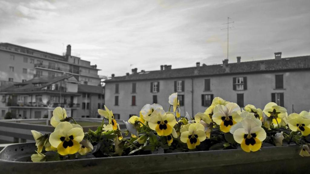 Photo 40