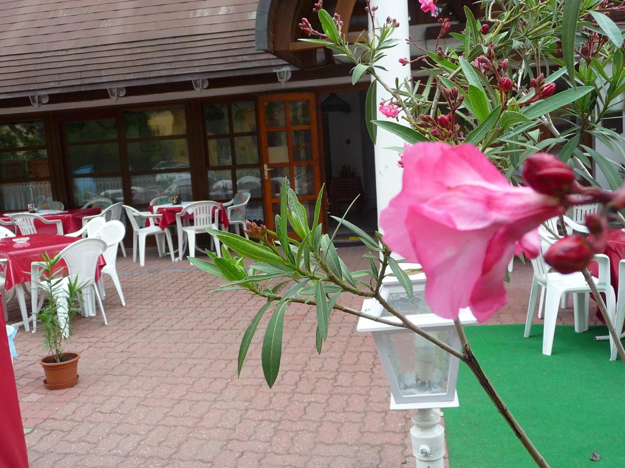 Oleander B&B, photo 26