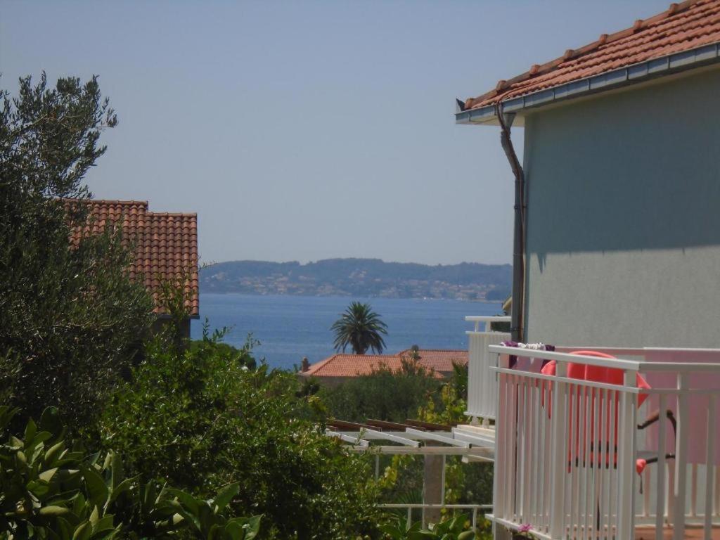 Apartments Vidic view 5