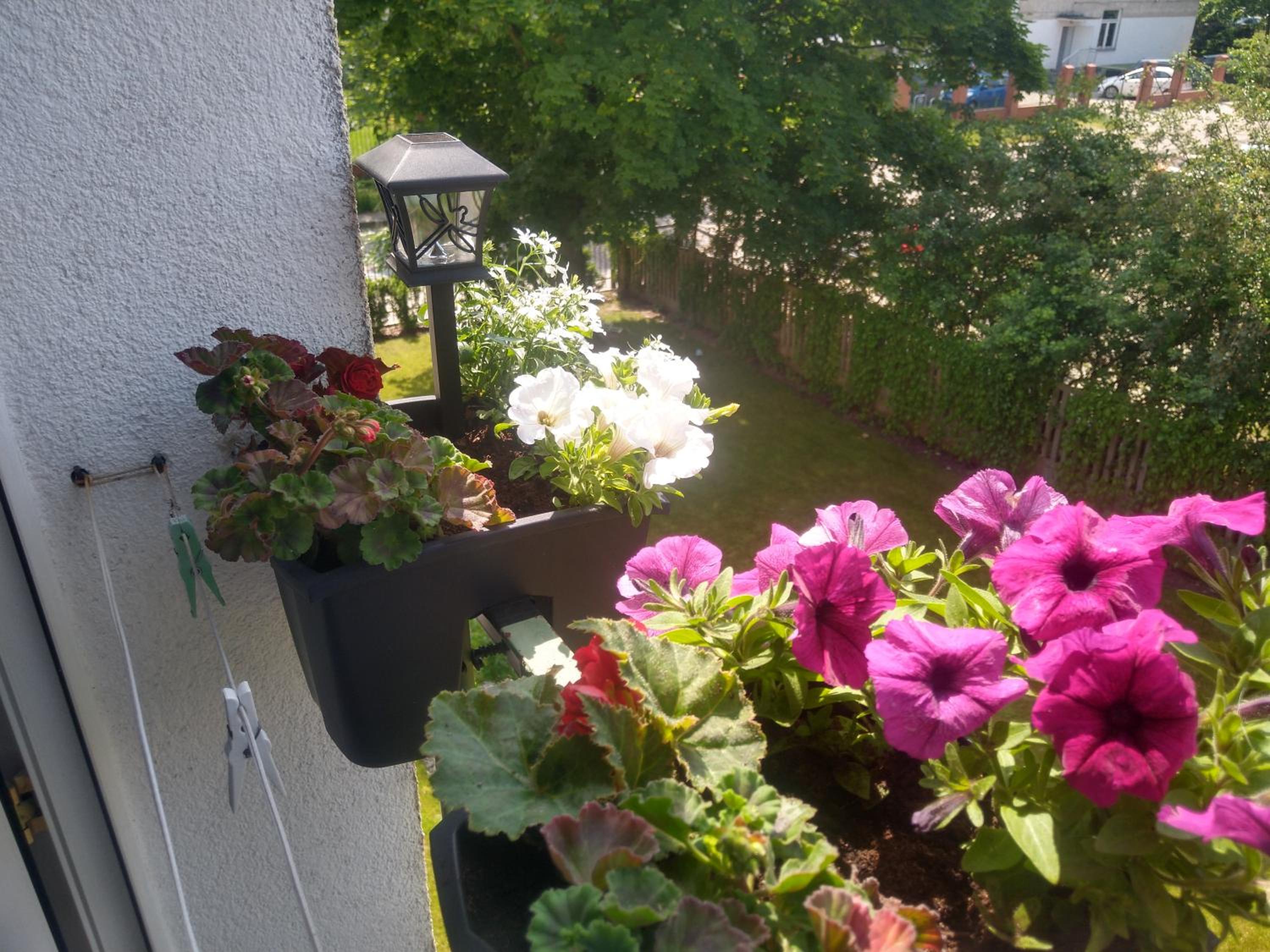 Photo 29