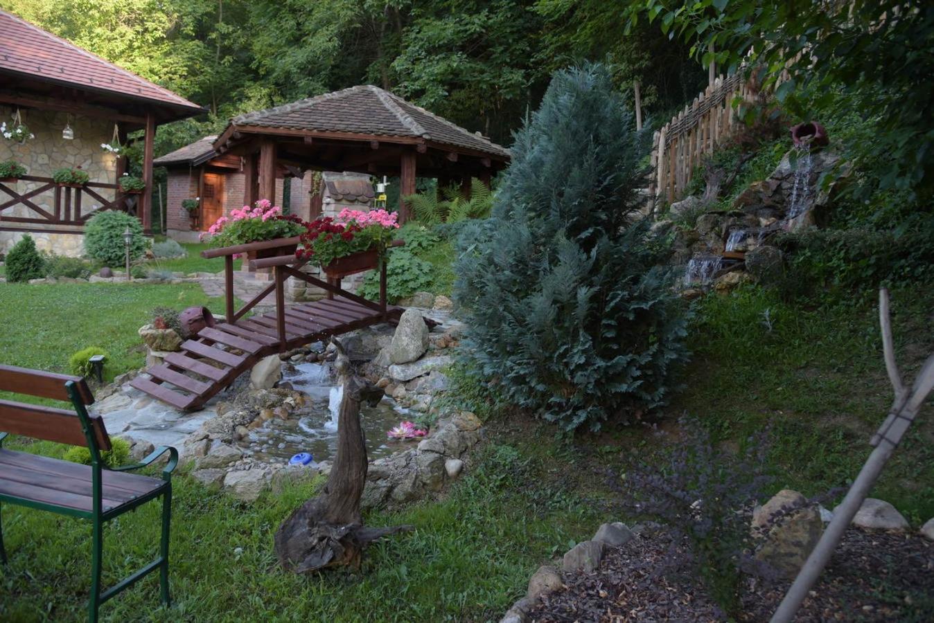 Photo 31