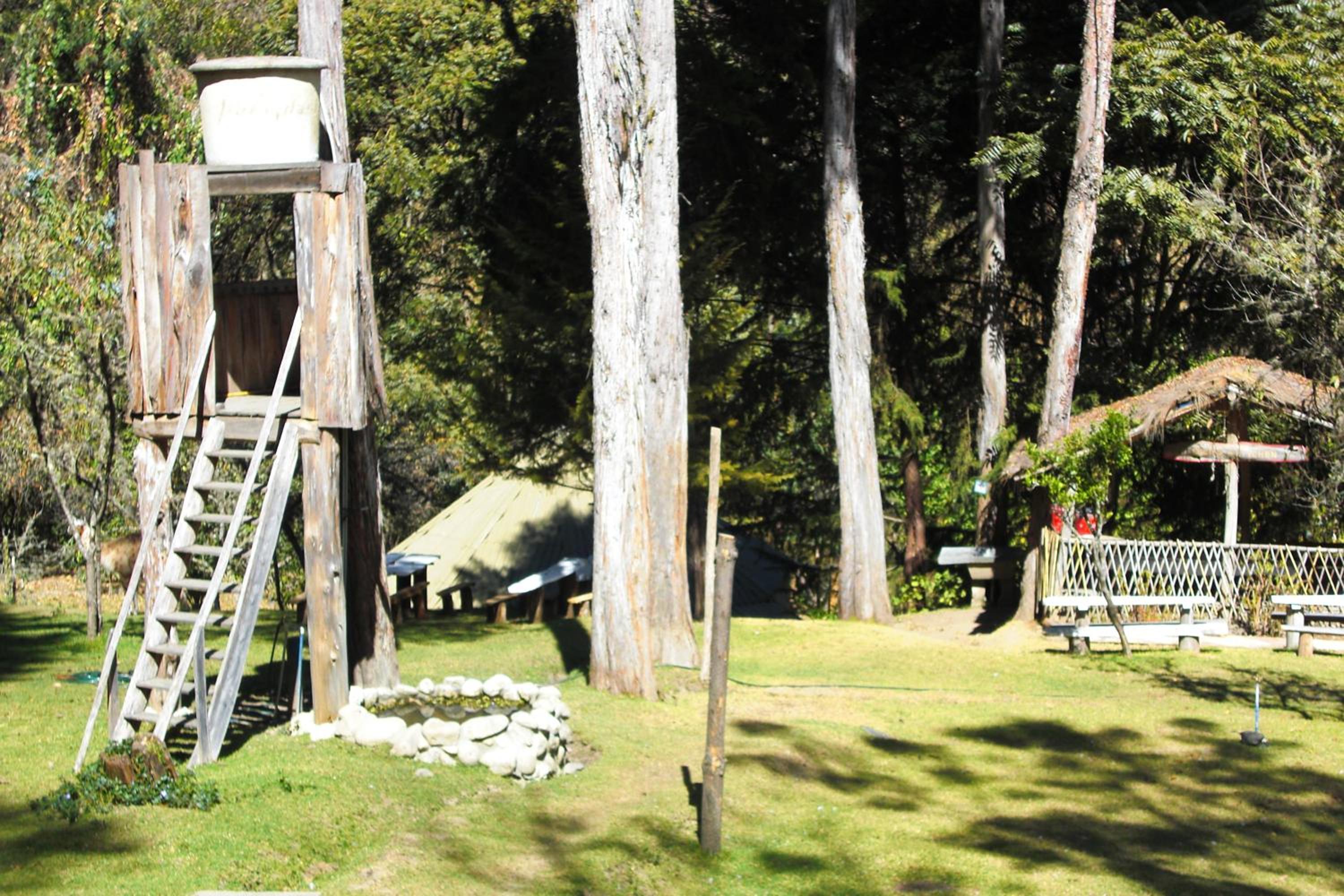 Altai Oasis Lodge