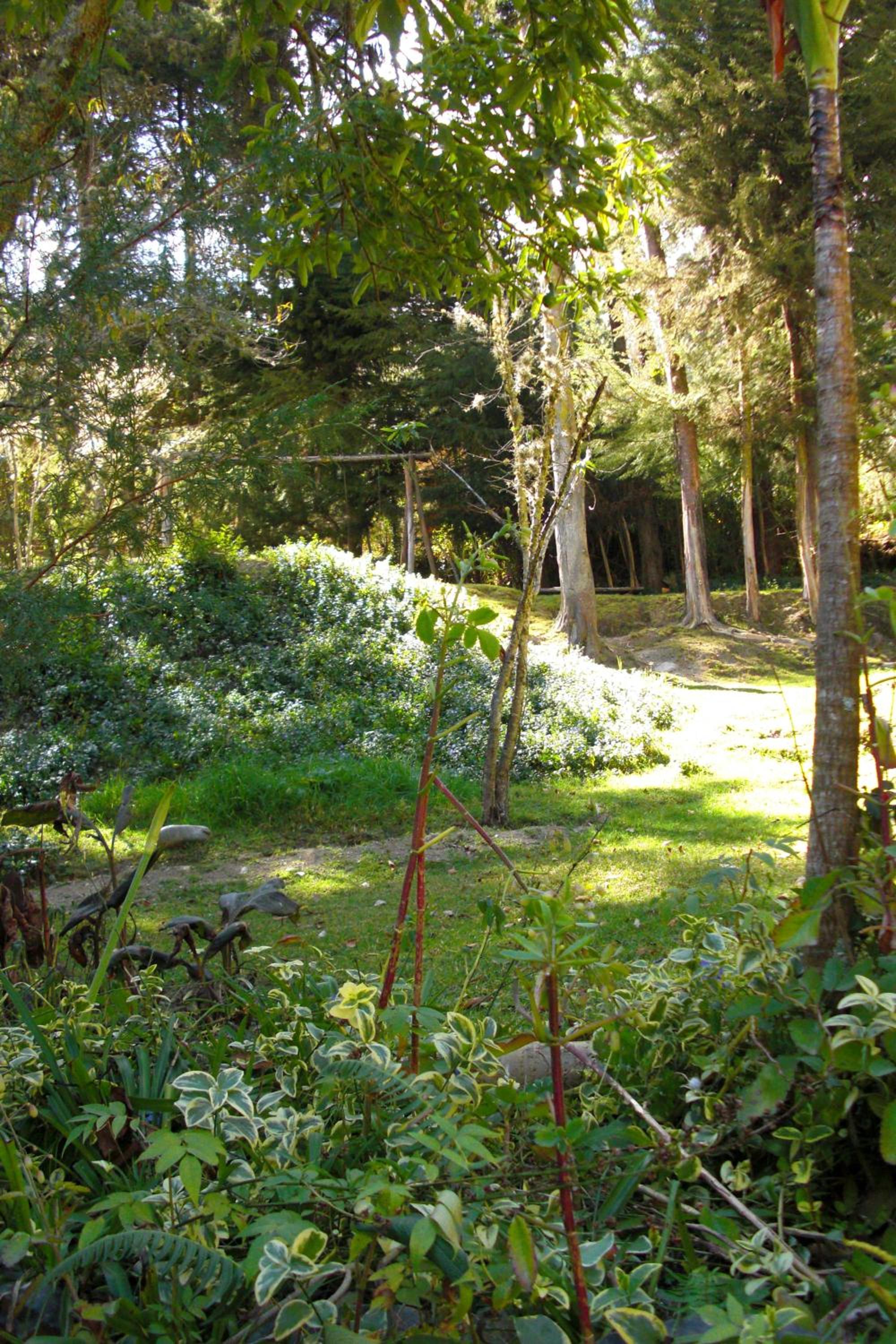 Altai Oasis Lodge