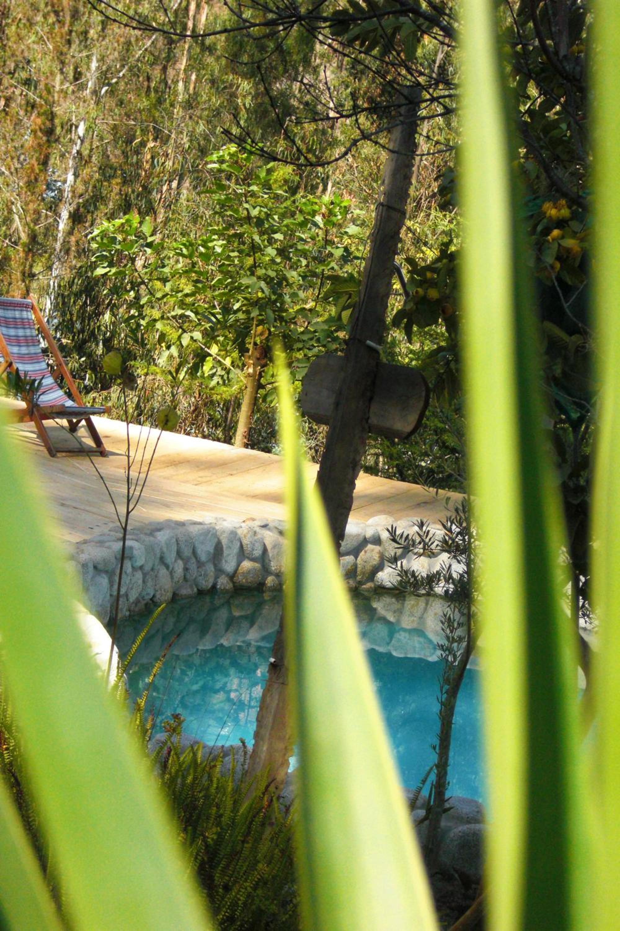 Altai Oasis Lodge