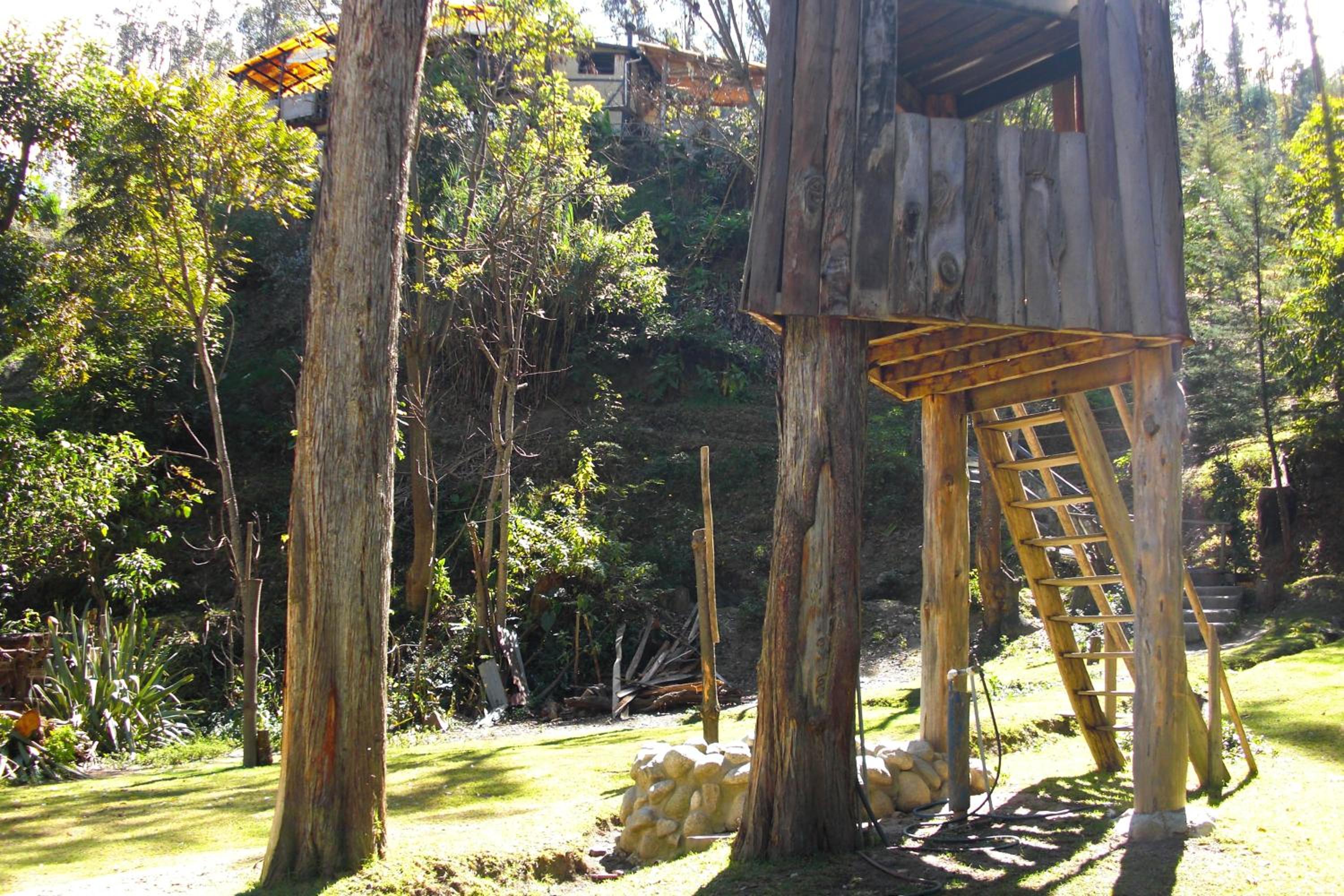Altai Oasis Lodge