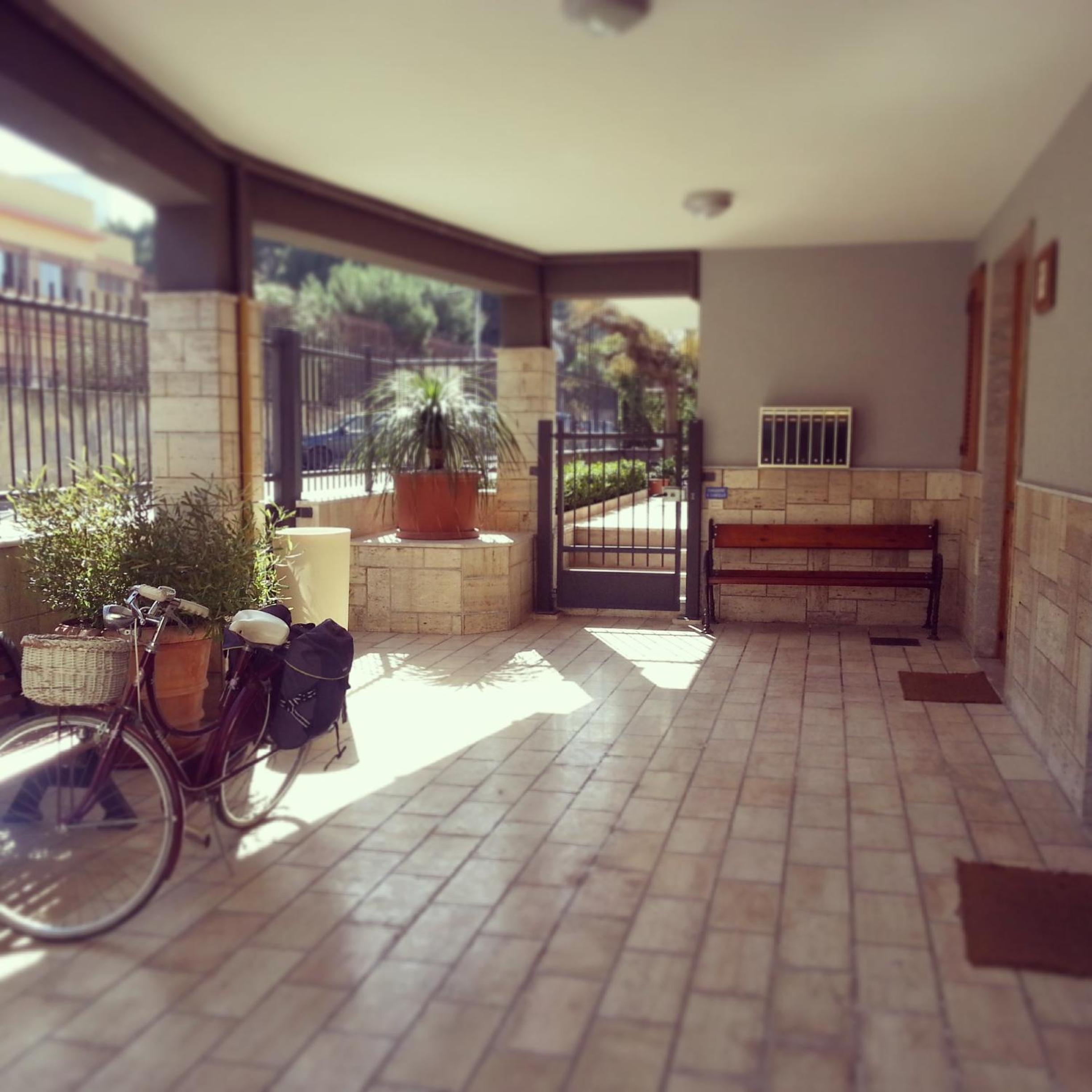 Photo 40