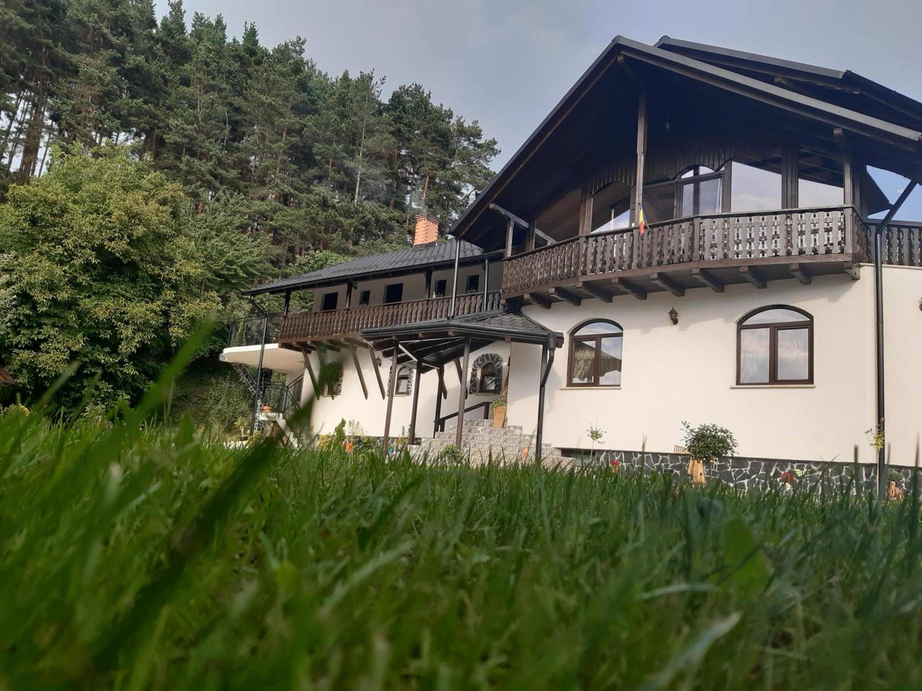 CASA DINTRE PINI view 2