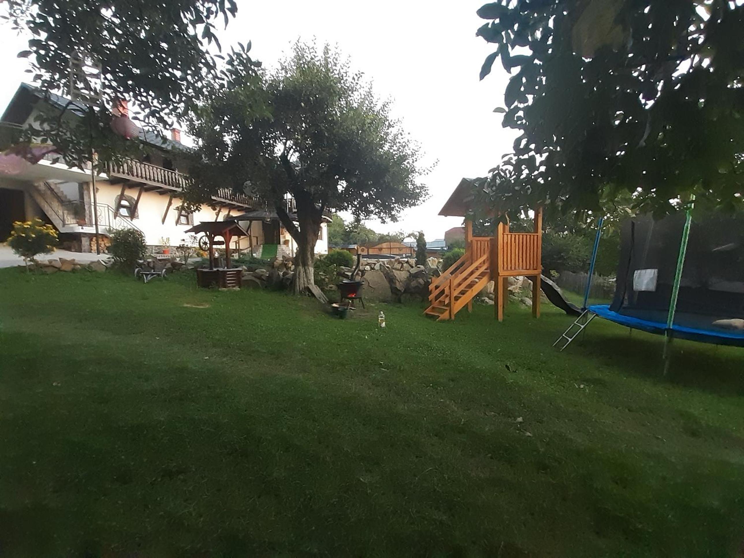 Photo 61
