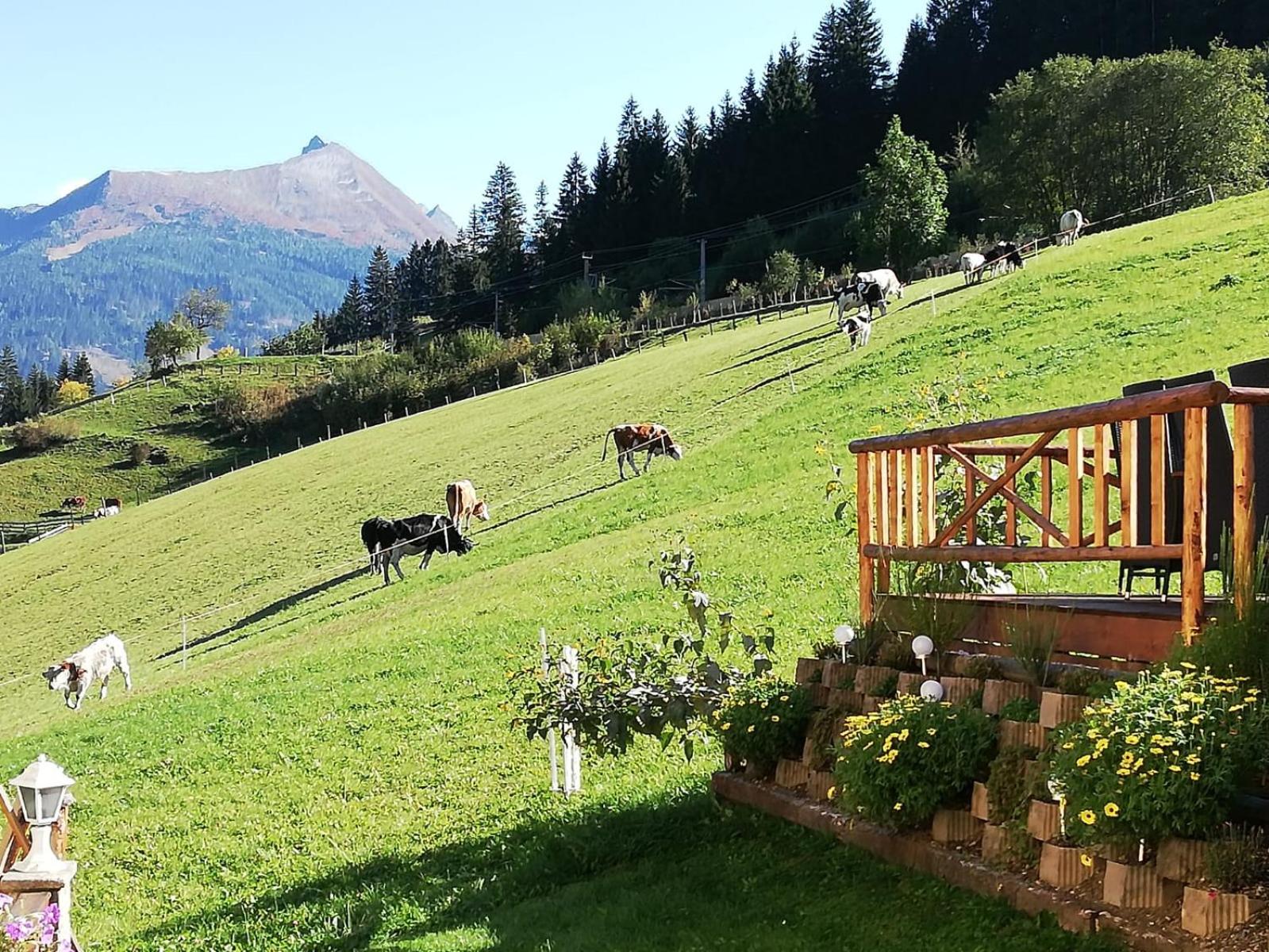 Ferienwohnung am Krausberghof mit Balkon und Parkplatz, Aufenthaltsraum mit Spielmöglichkeiten, Erholung- inmitten der Natur, 6 Fahrminuten zur Alpentherme
