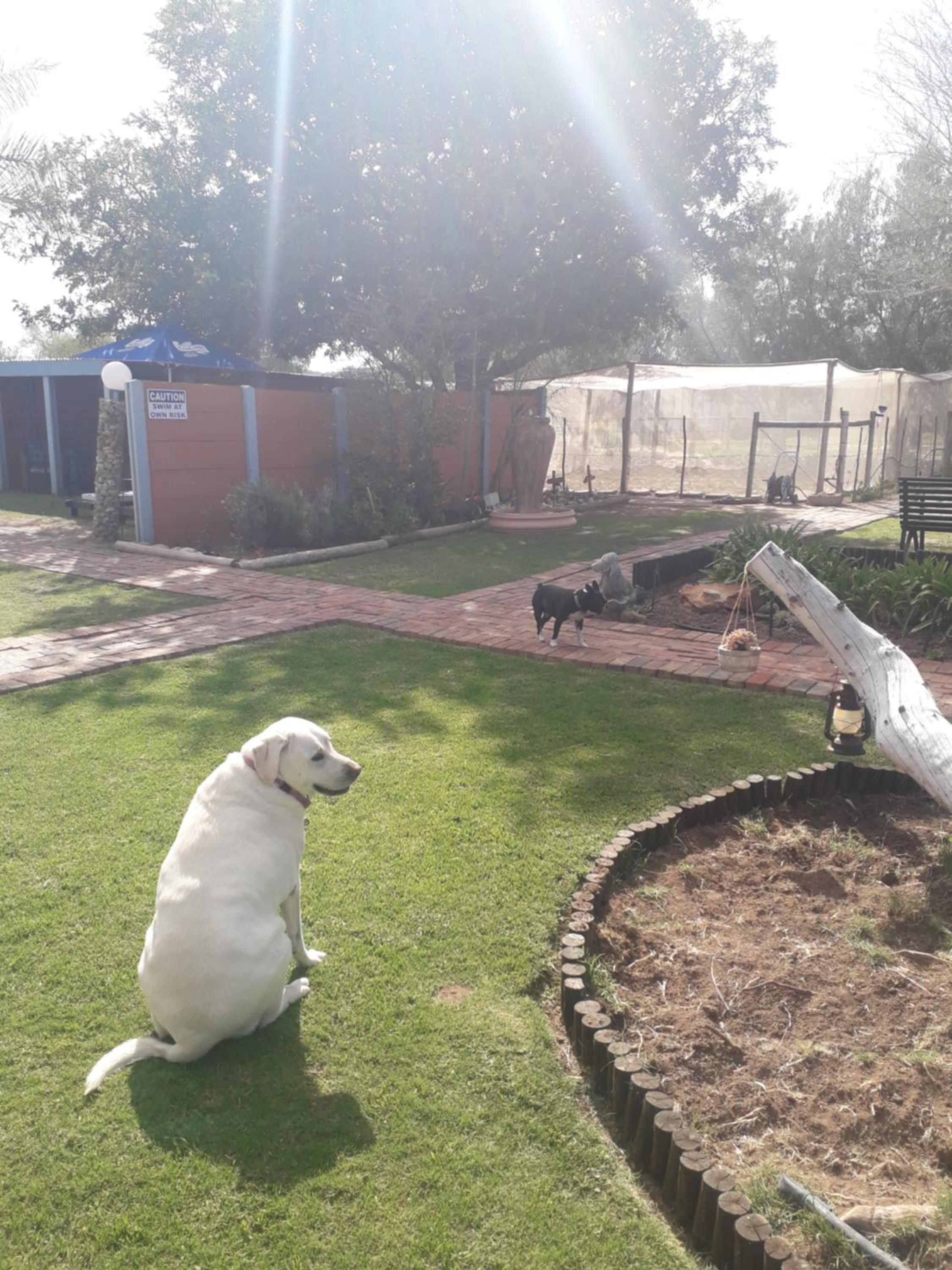 Culdesac Guesthouse Oudtshoorn view 5