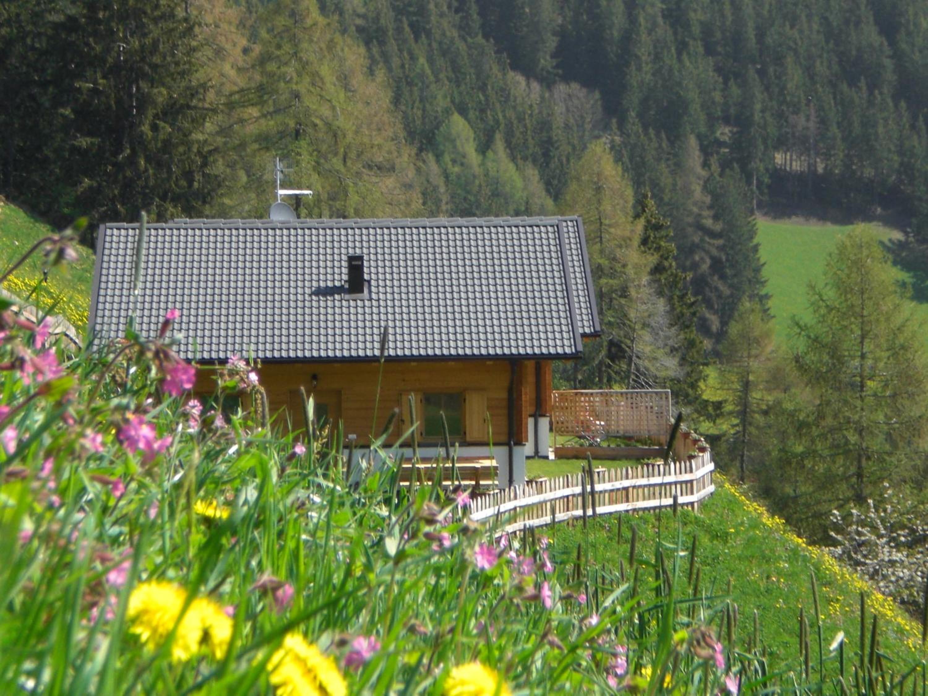 Chalet Niederhaushof view 3