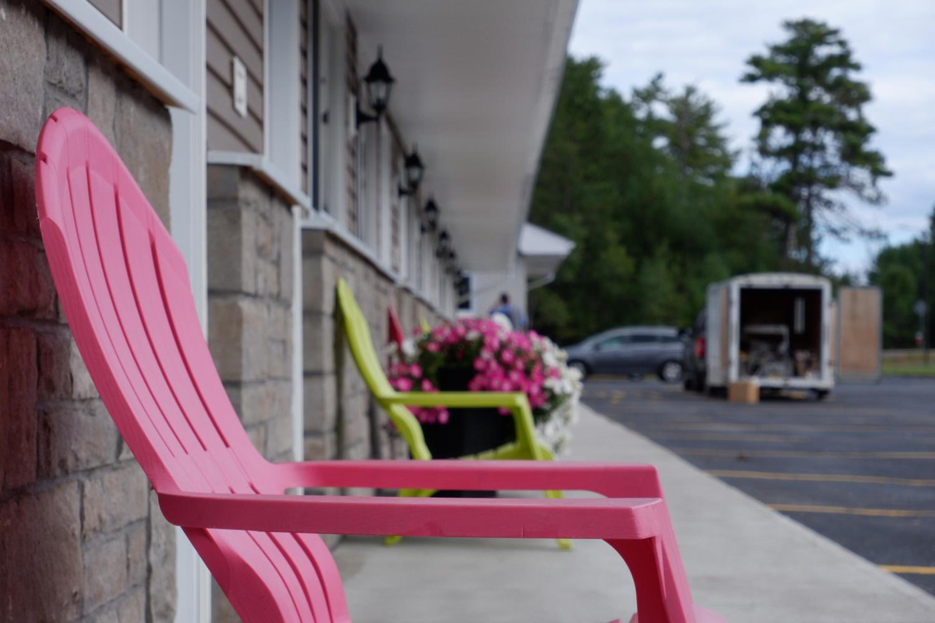 Pine Motel